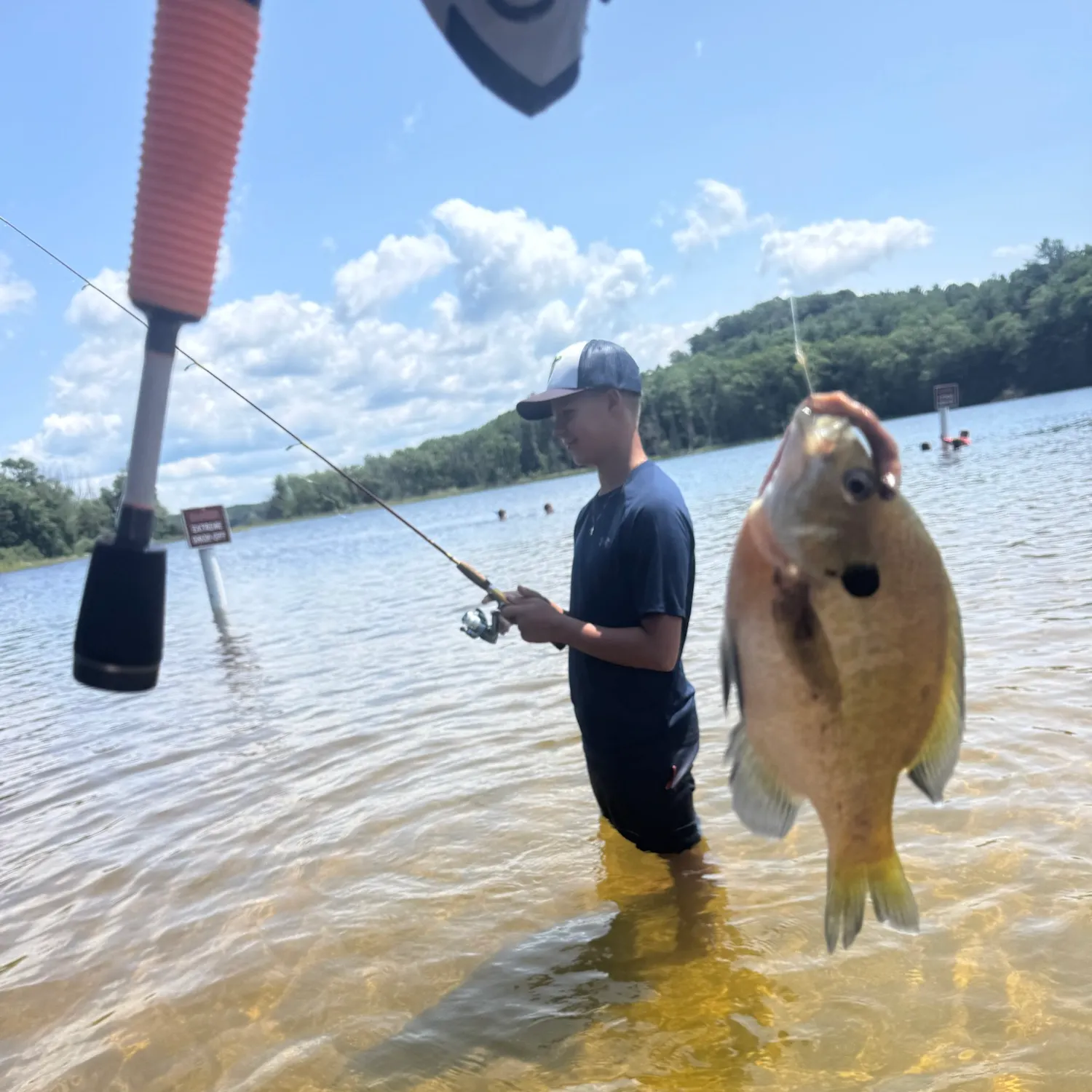 Bluegill caught on Fishbrain