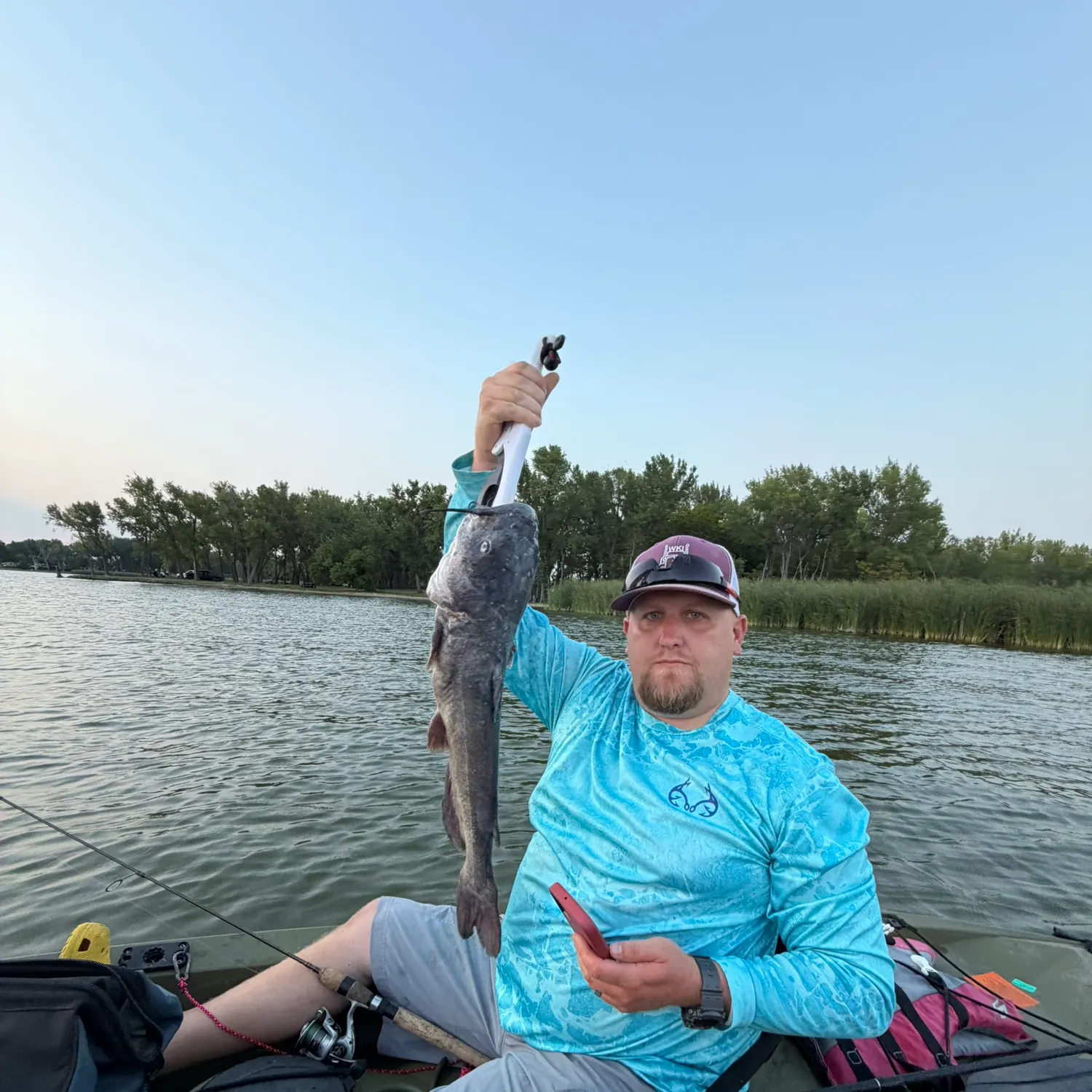 Blue catfish caught on Fishbrain
