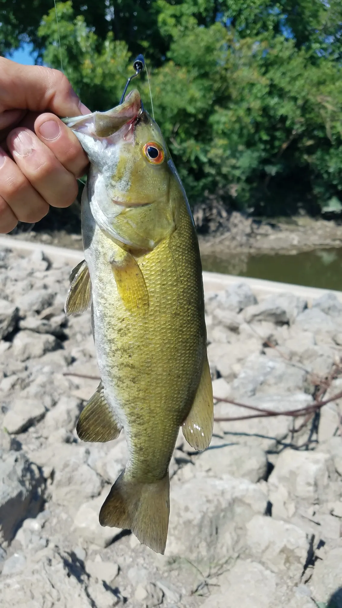 Post image from RiverRecon