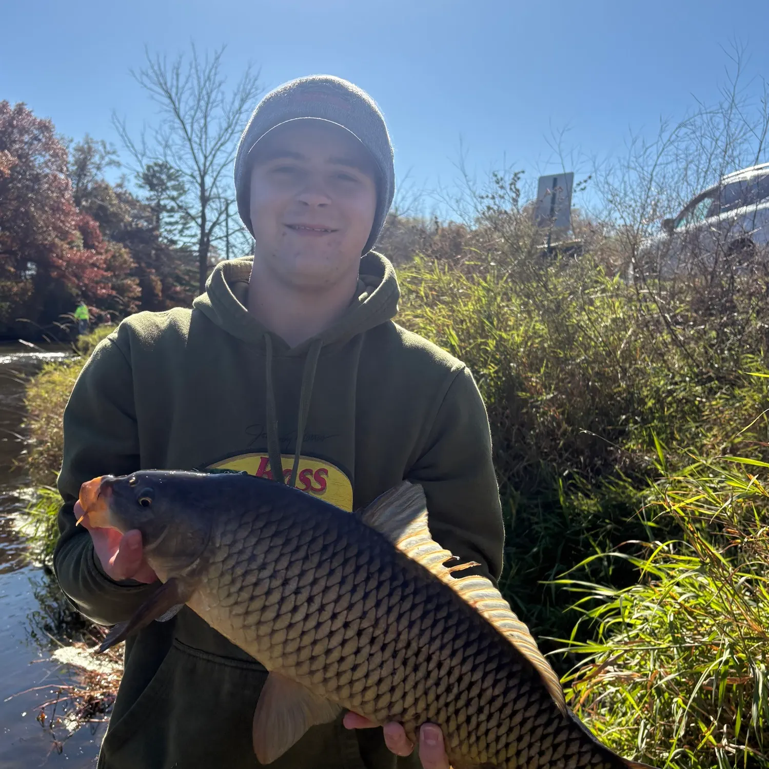 Common carp caught on Fishbrain