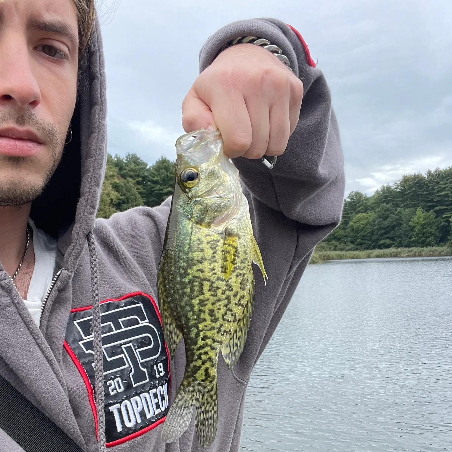 Black crappie caught on Fishbrain