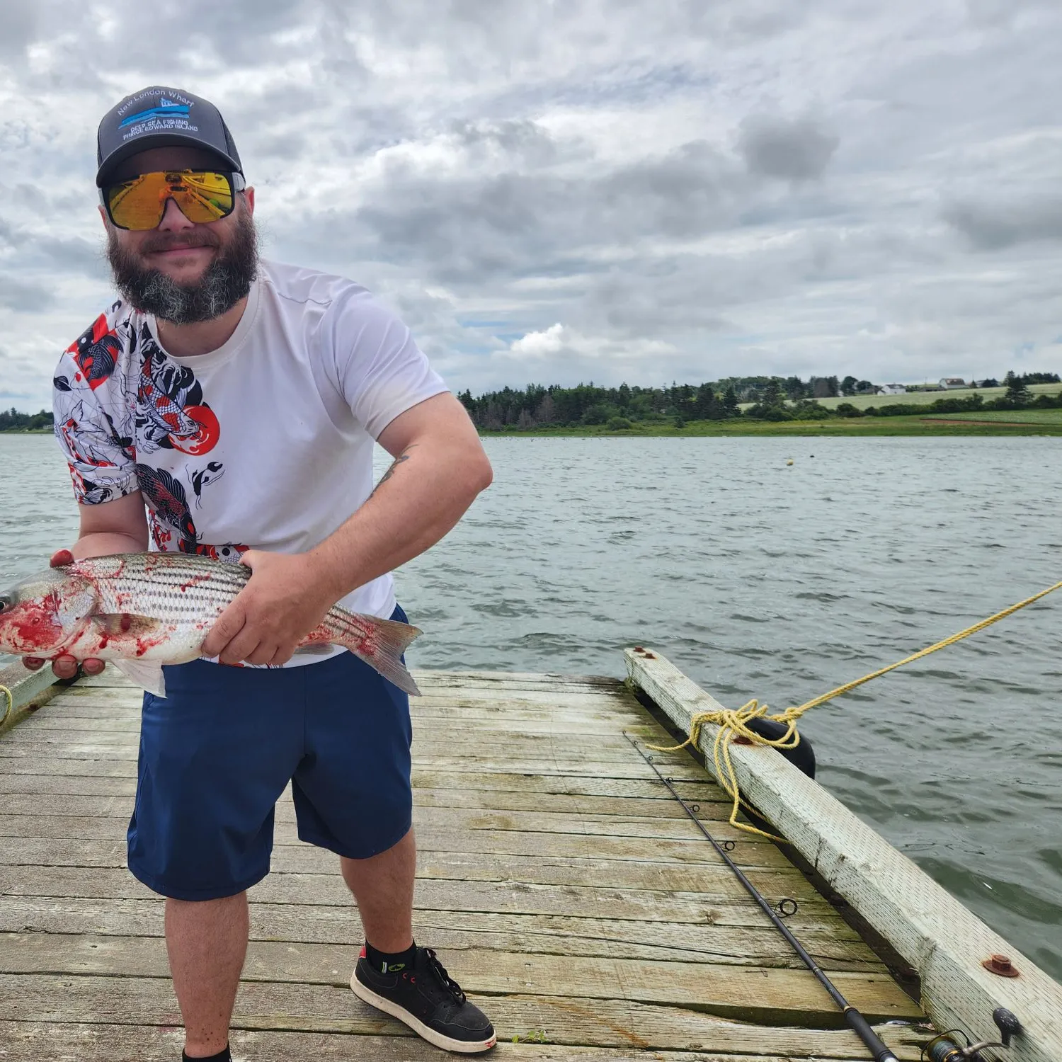 Striped bass caught on Fishbrain
