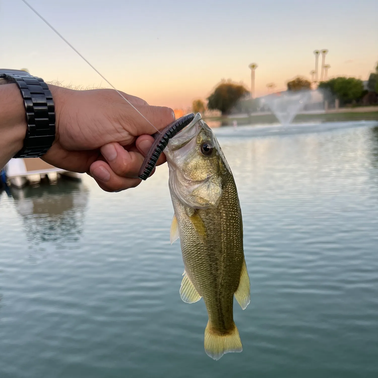 catch