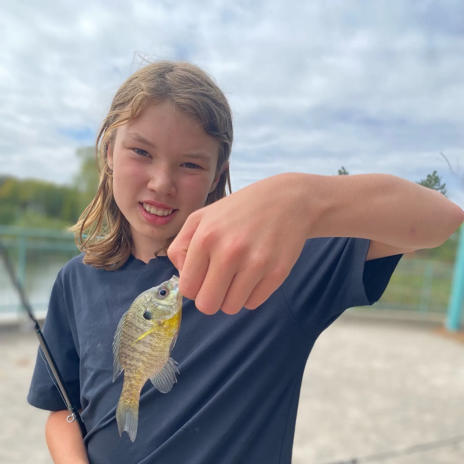 Bluegill caught on Fishbrain