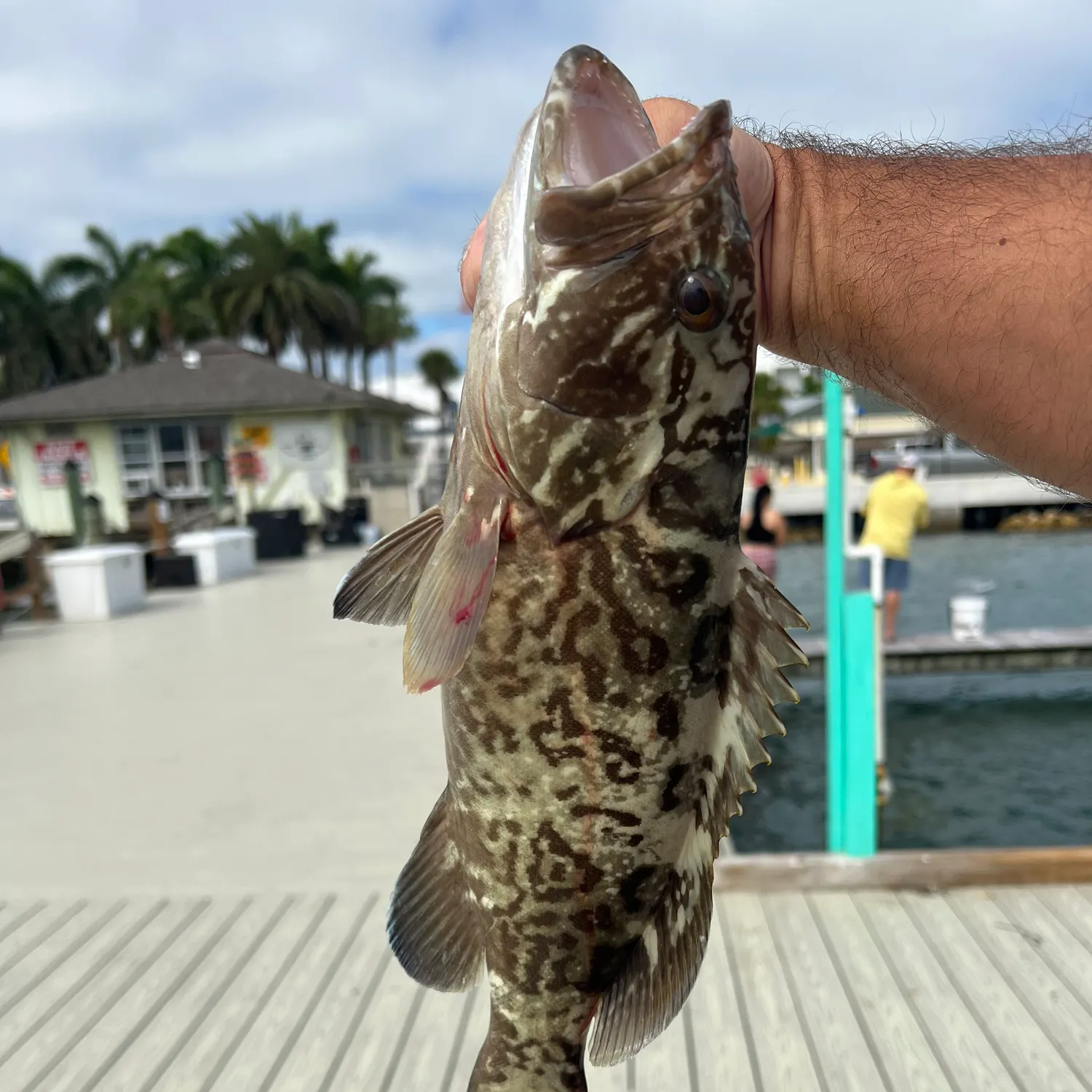 catch