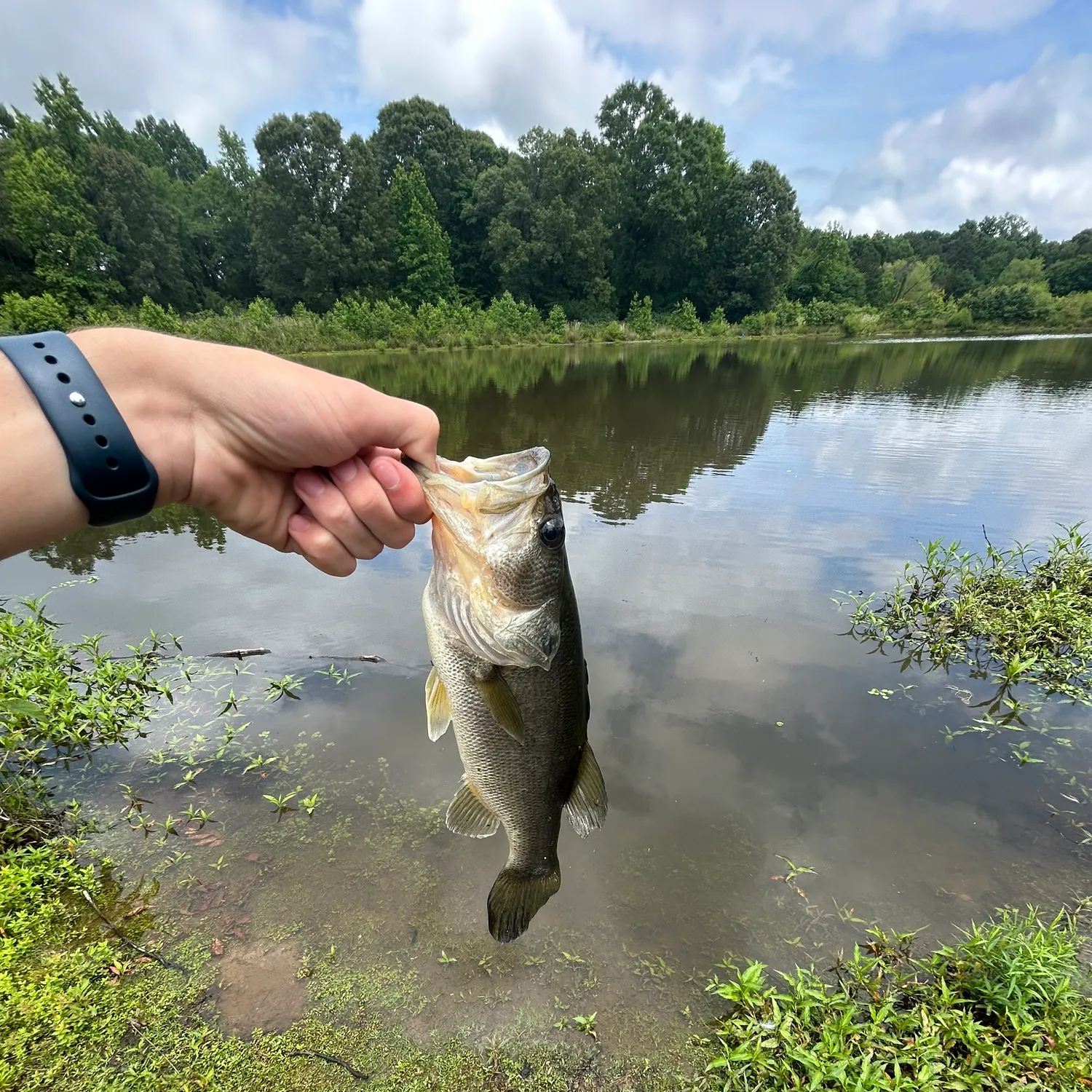 Fish caught on Fishbrain