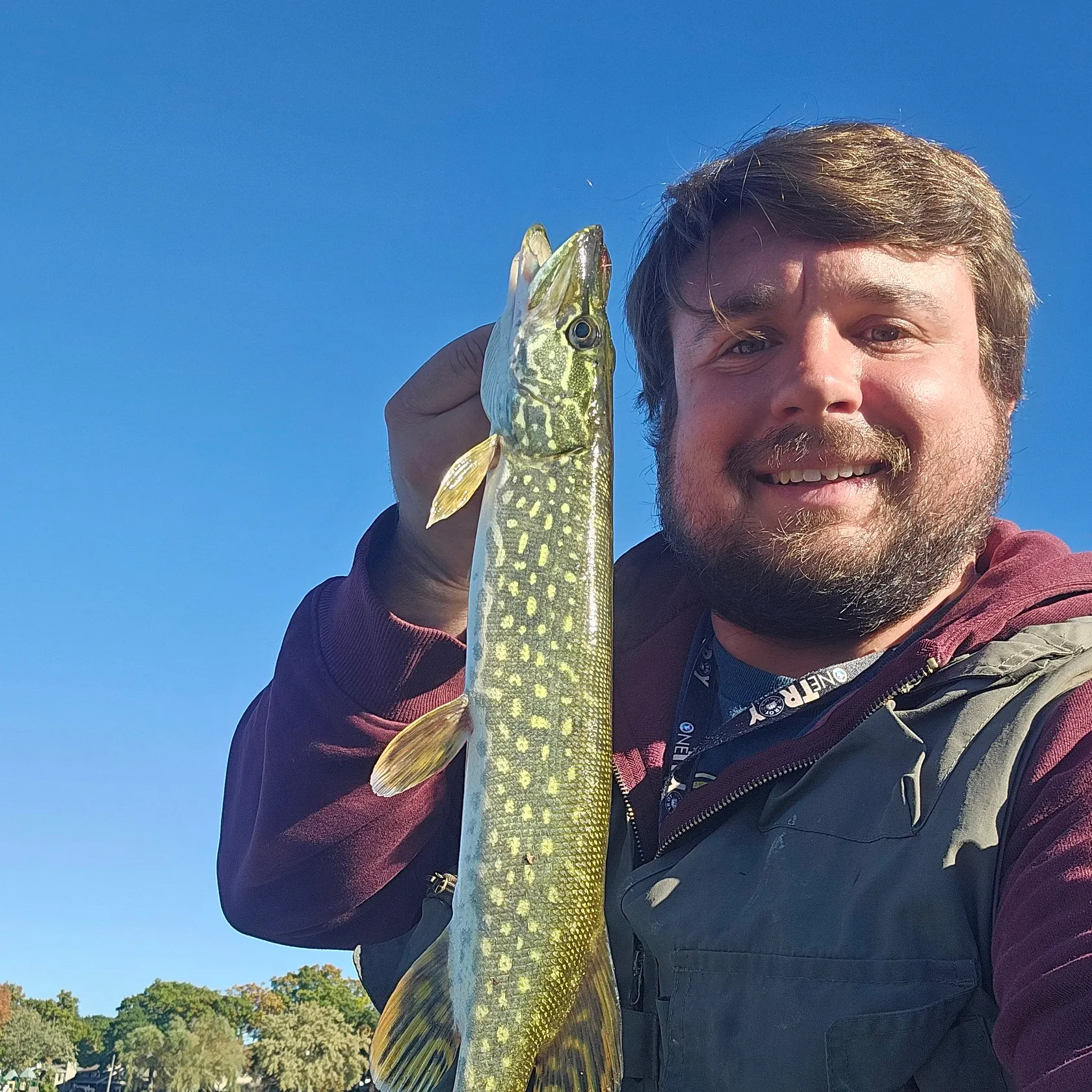 Northern pike caught on Fishbrain