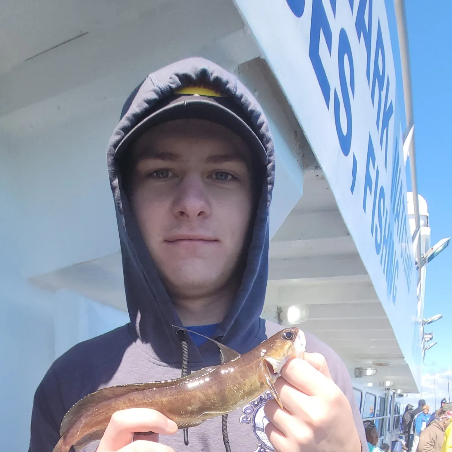 The most recent Ocean pout catches on Fishbrain