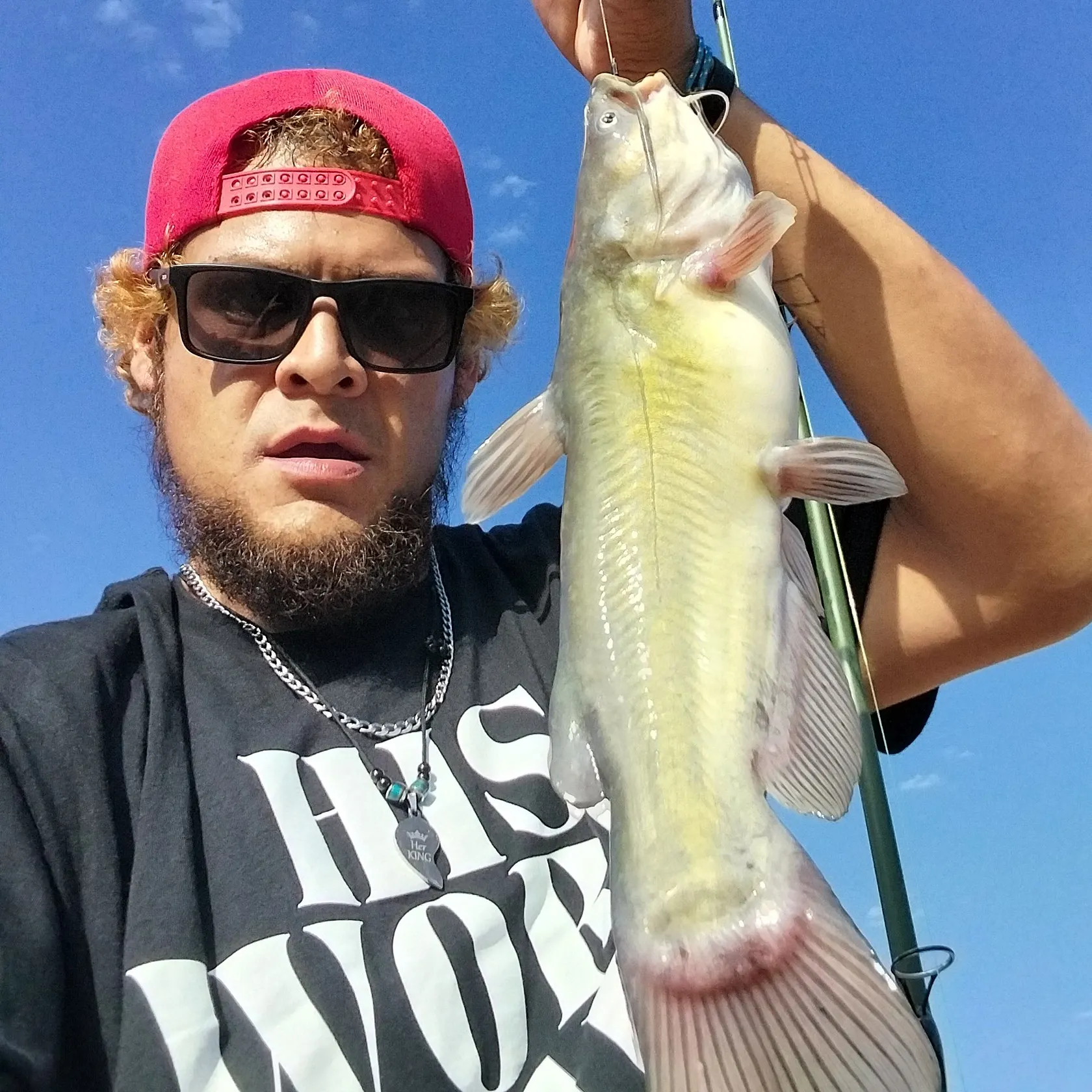Channel catfish caught on Fishbrain