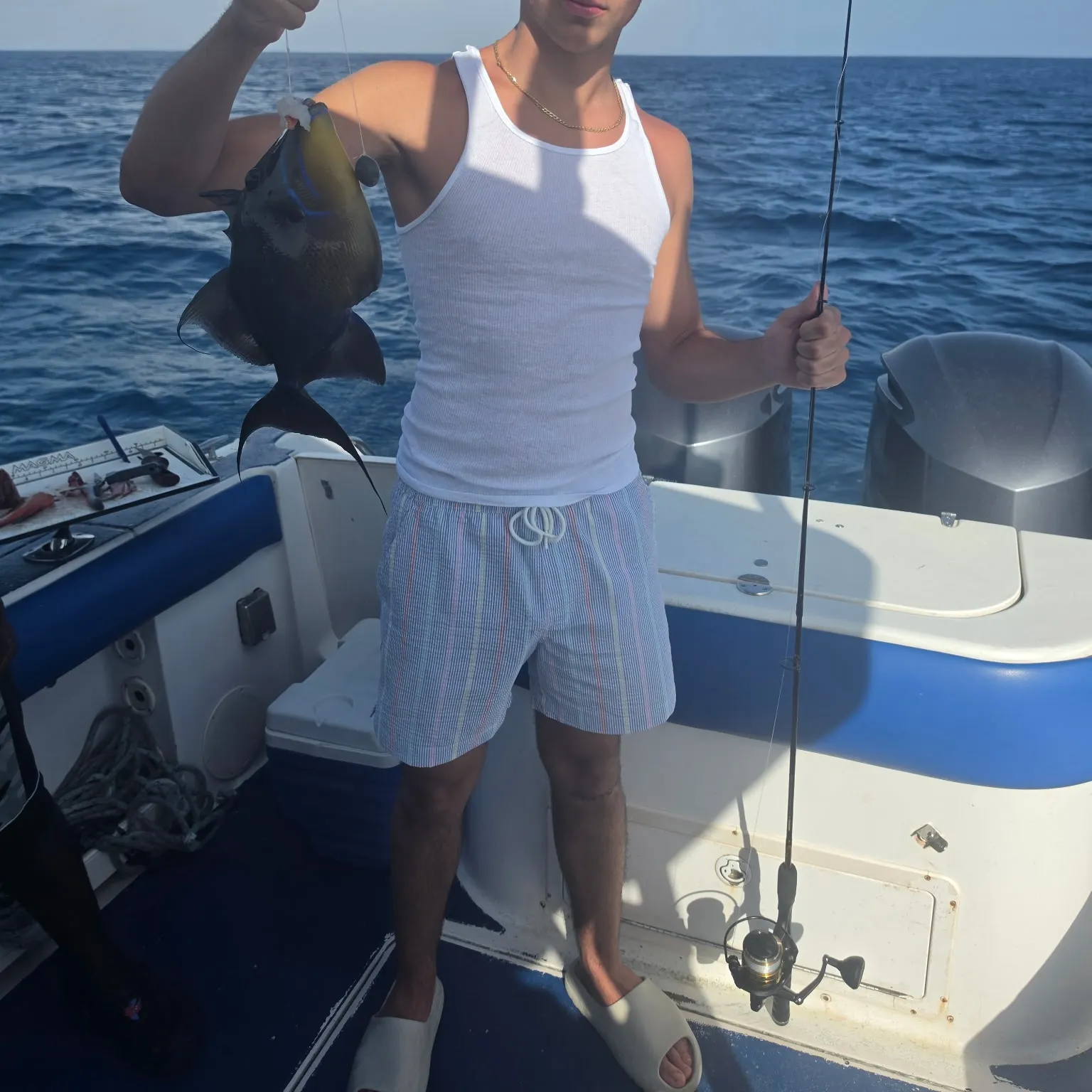 The most recent Queen triggerfish catches on Fishbrain
