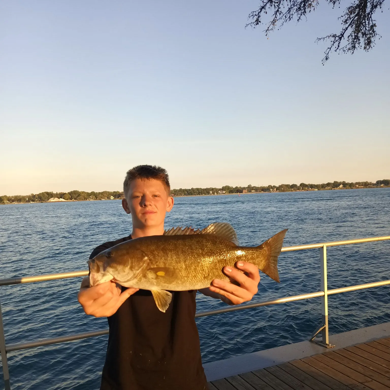 Smallmouth bass caught on Fishbrain