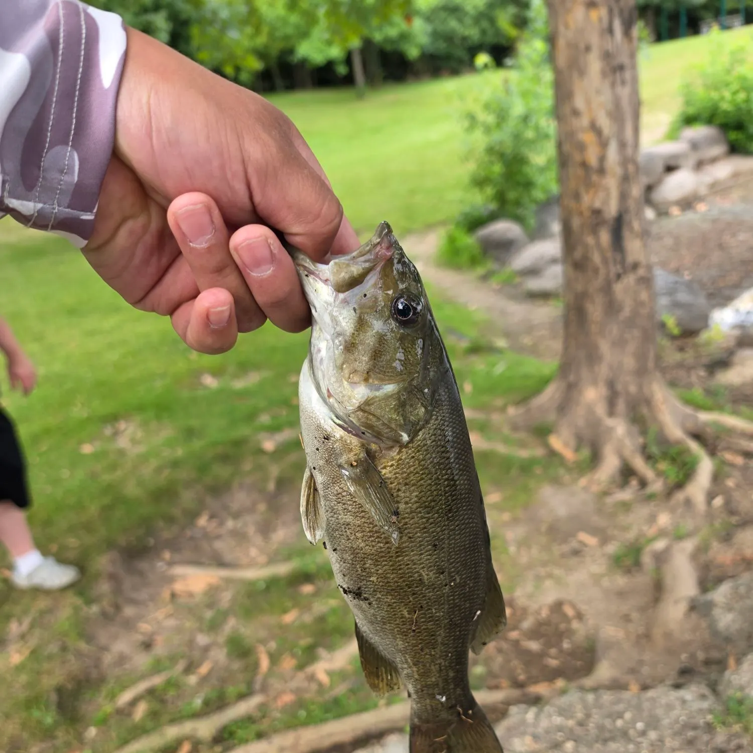 catch