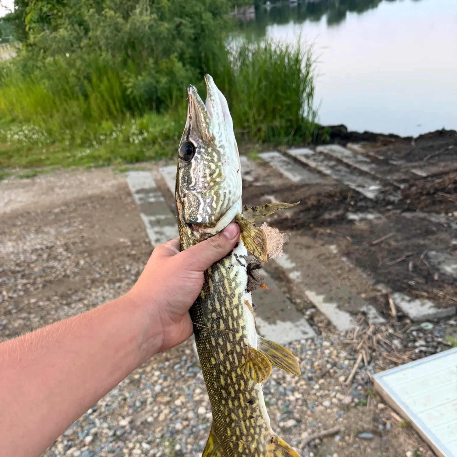 catch