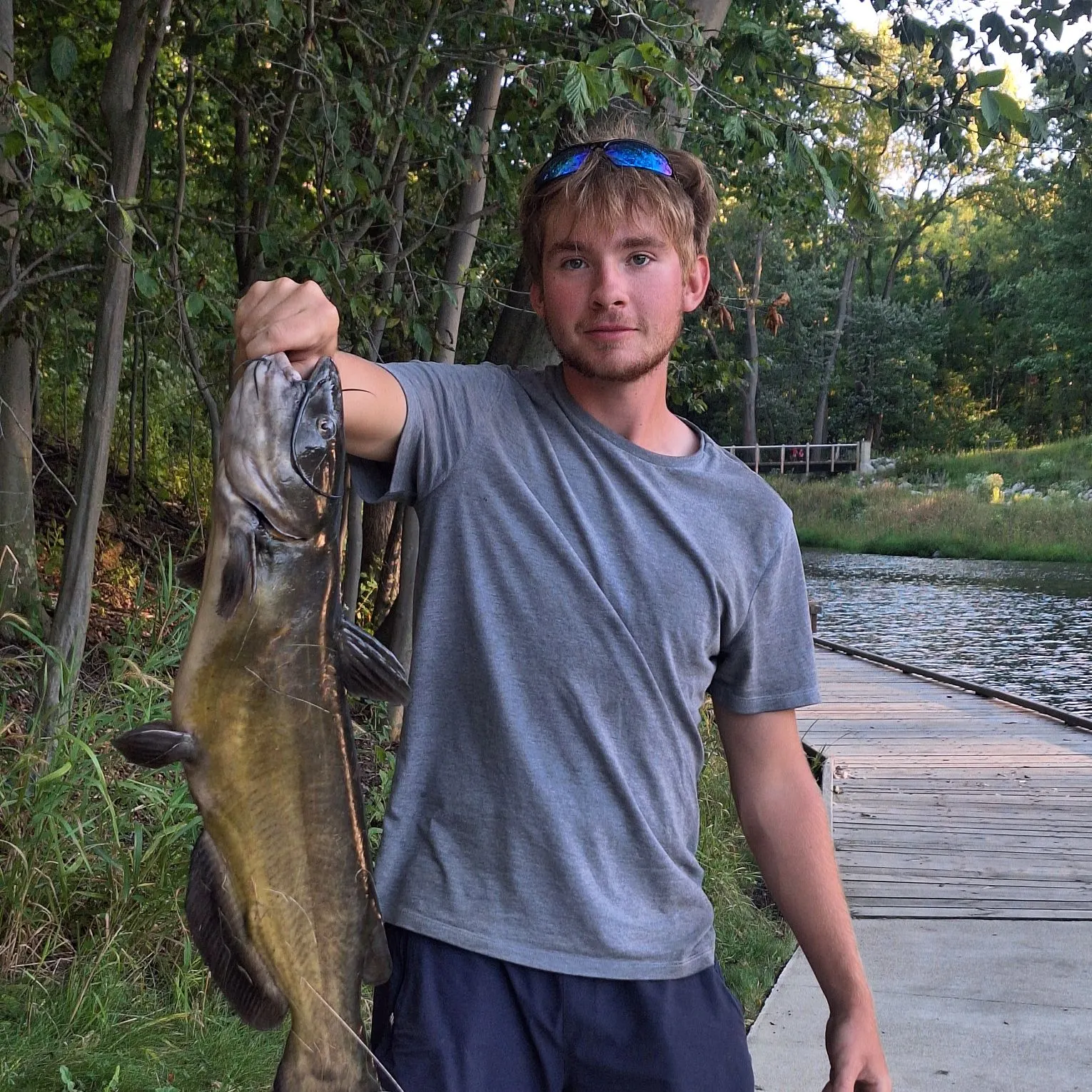 Channel catfish caught on Fishbrain