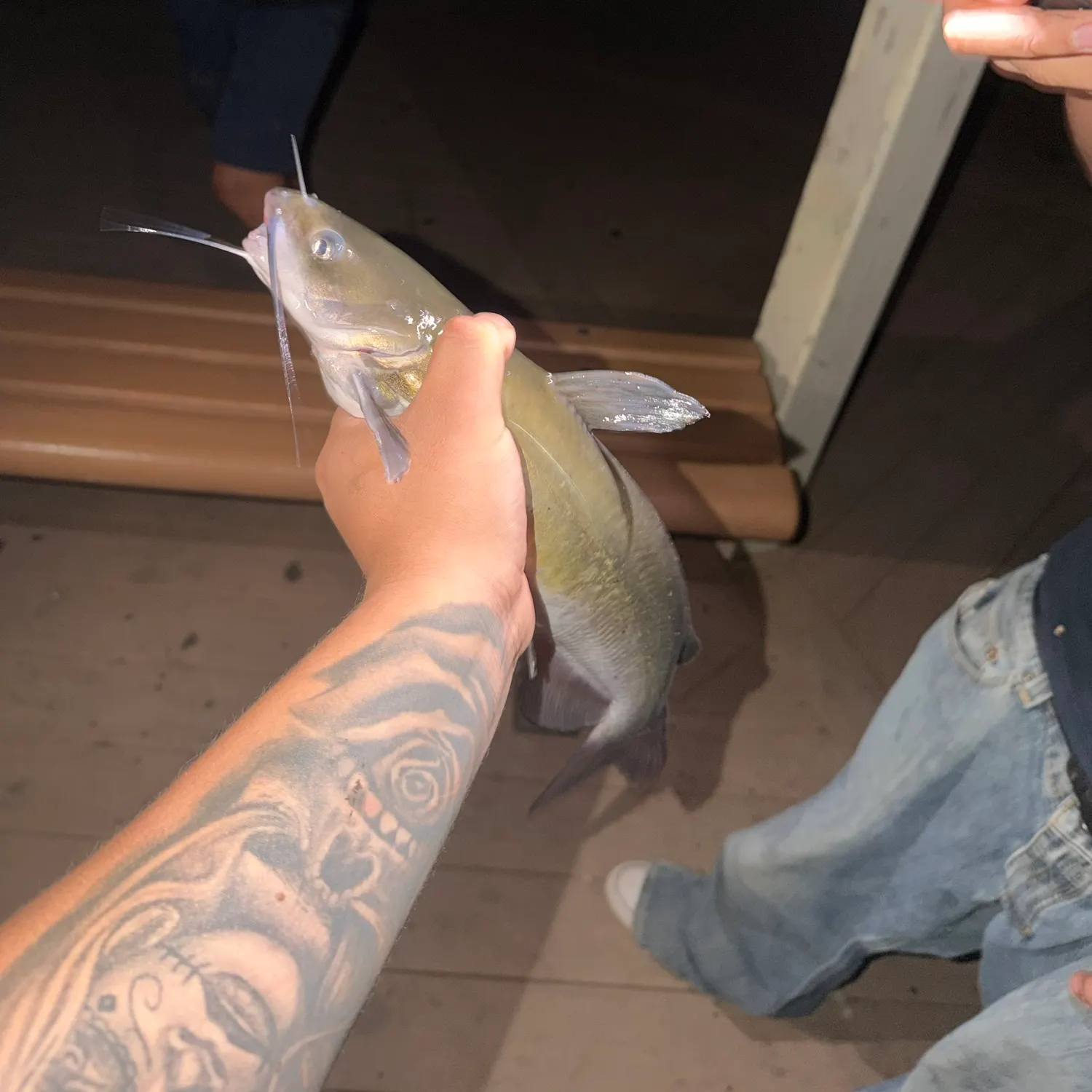 Channel catfish caught on Fishbrain
