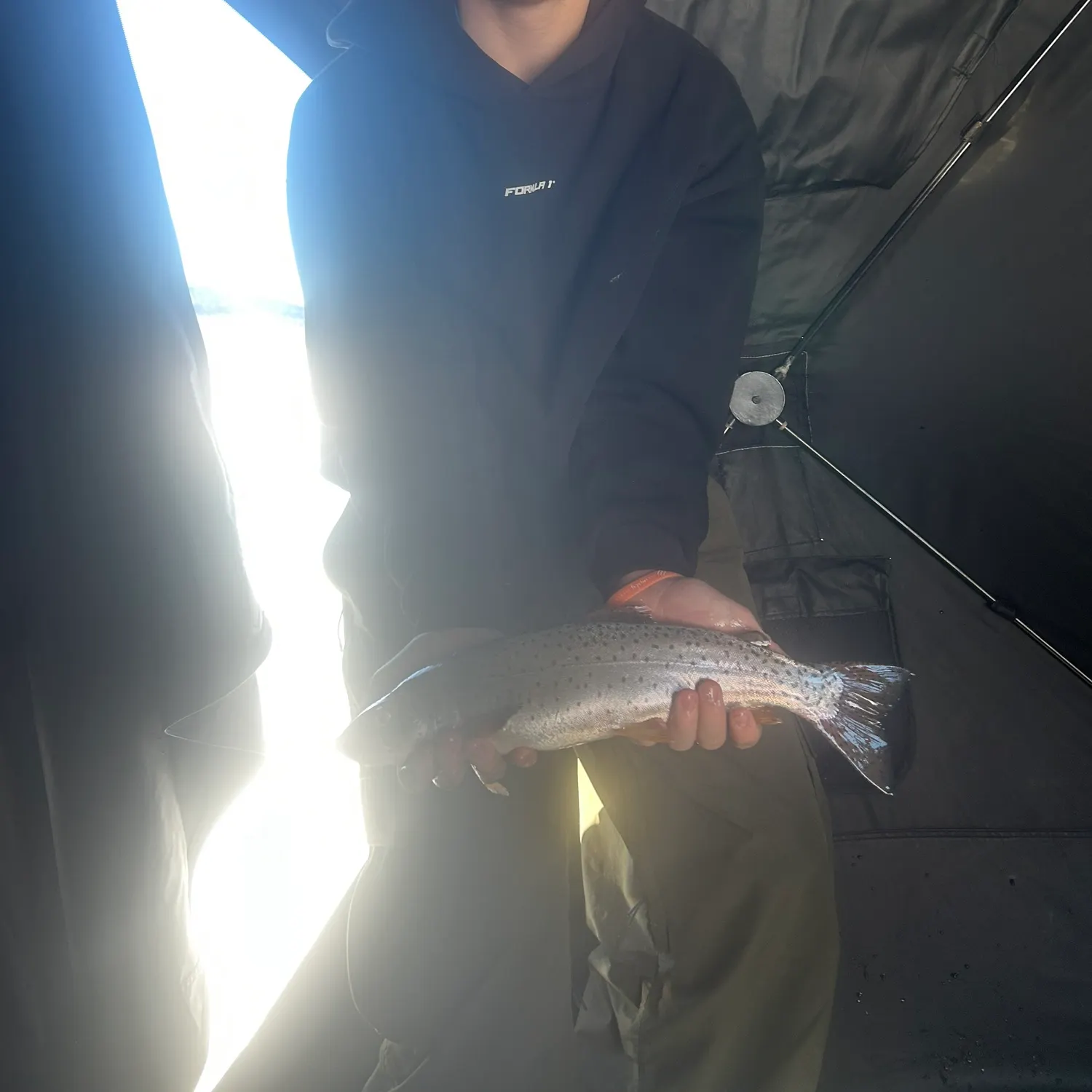 The most recent Cutthroat trout catches on Fishbrain