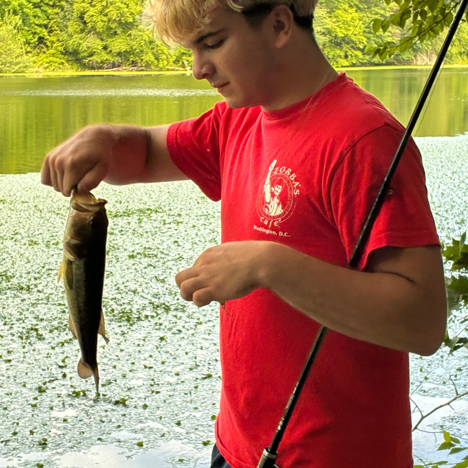 recently logged catches