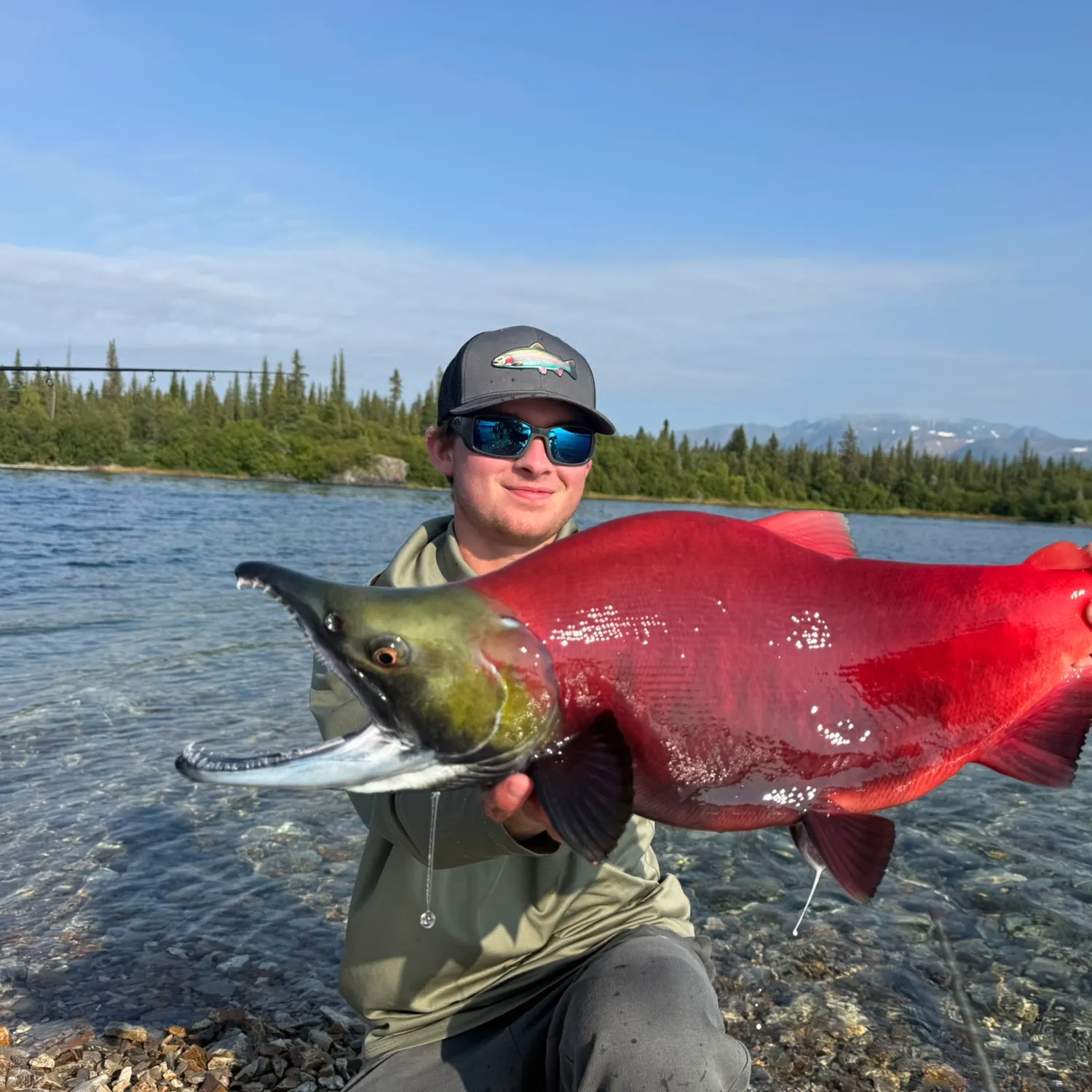 The most recent Sockeye salmon catches on Fishbrain