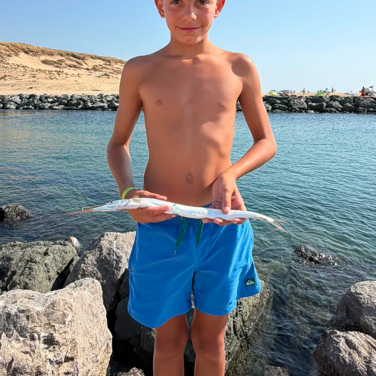 European garfish caught on Fishbrain
