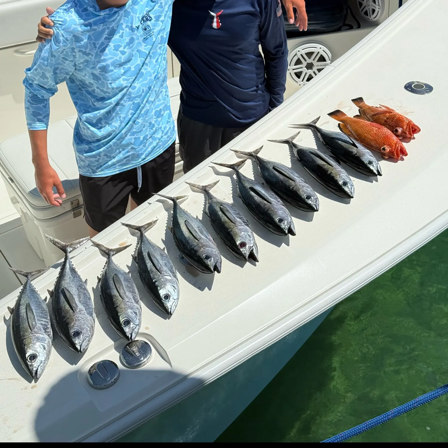 recently logged catches