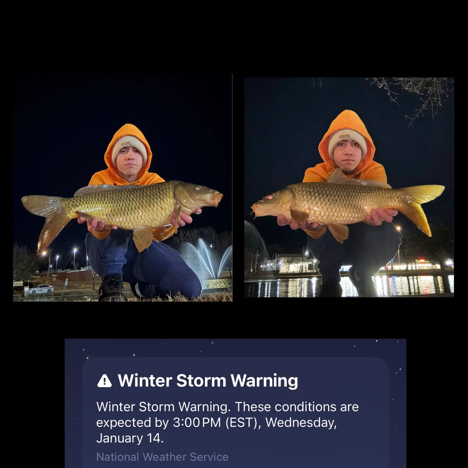 recently logged catches