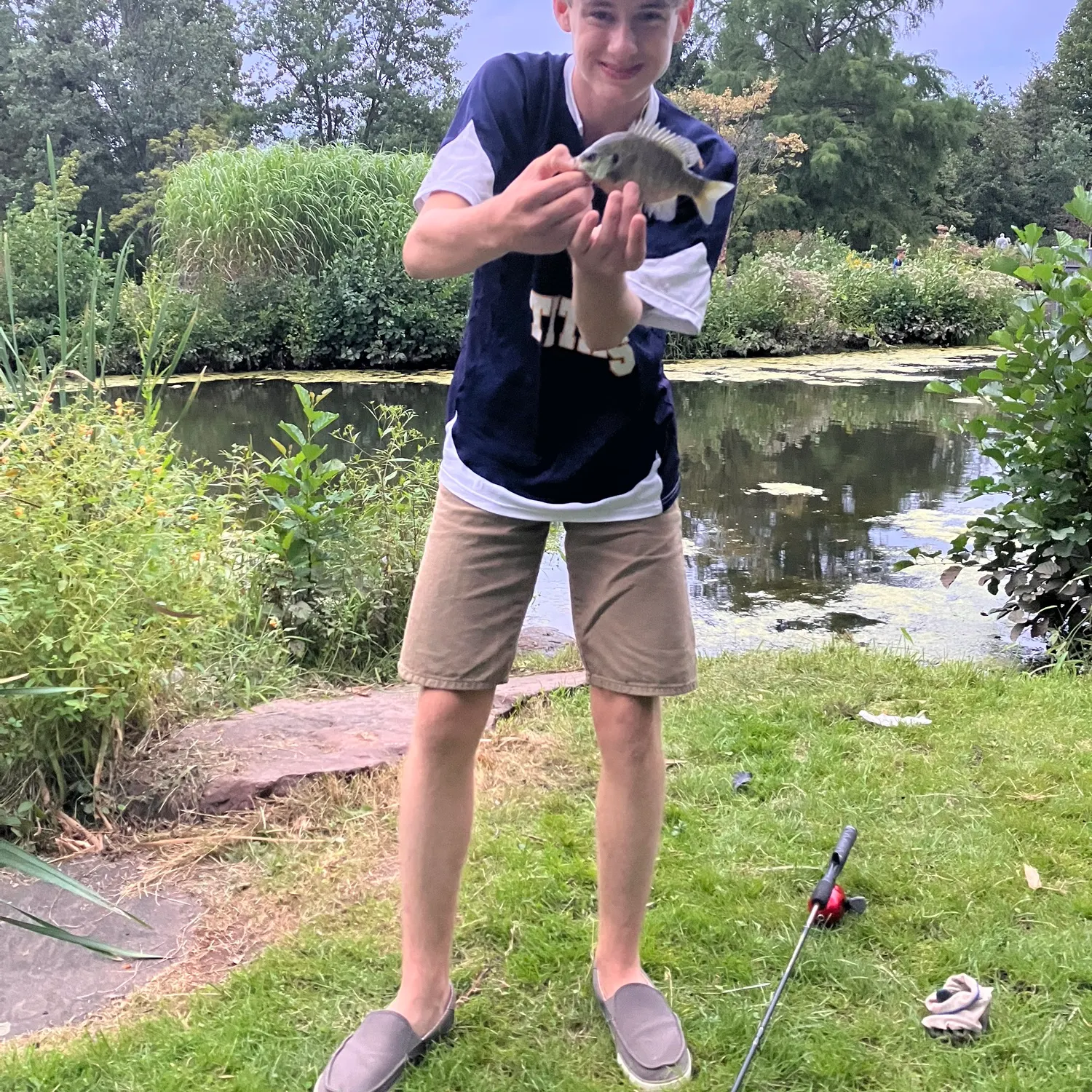 Bluegill caught on Fishbrain