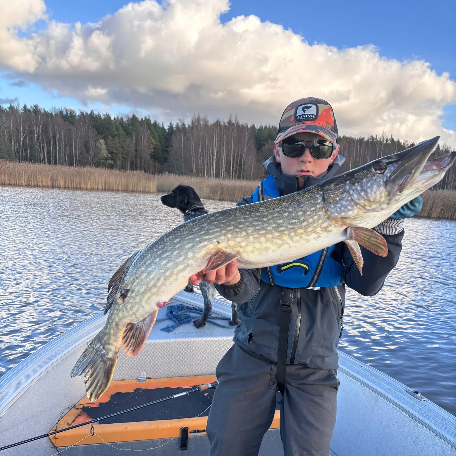 Northern pike caught on Fishbrain