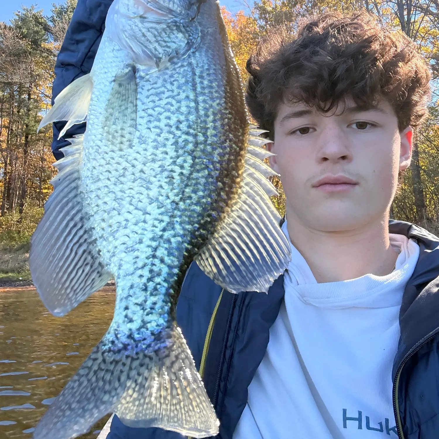 Black crappie caught on Fishbrain