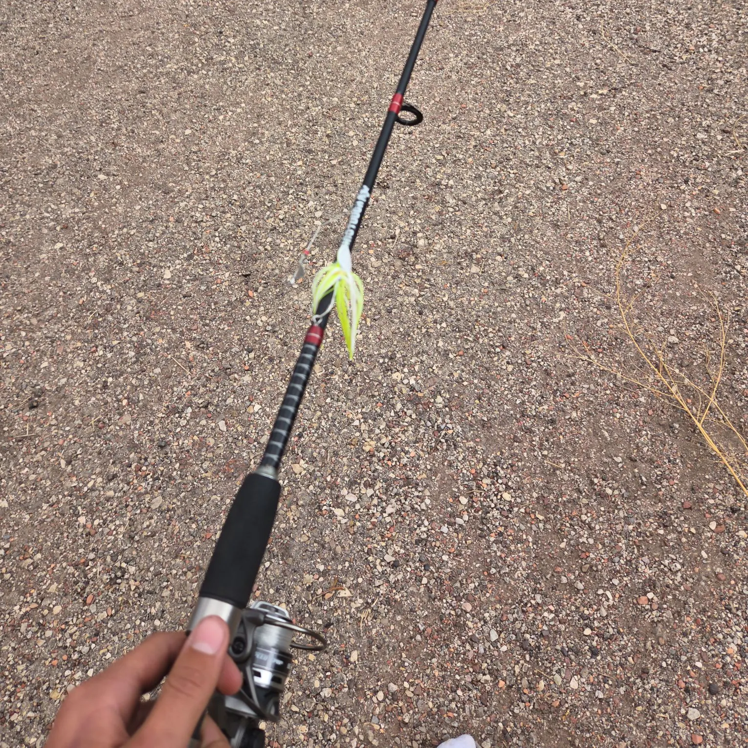 Fish caught on Fishbrain