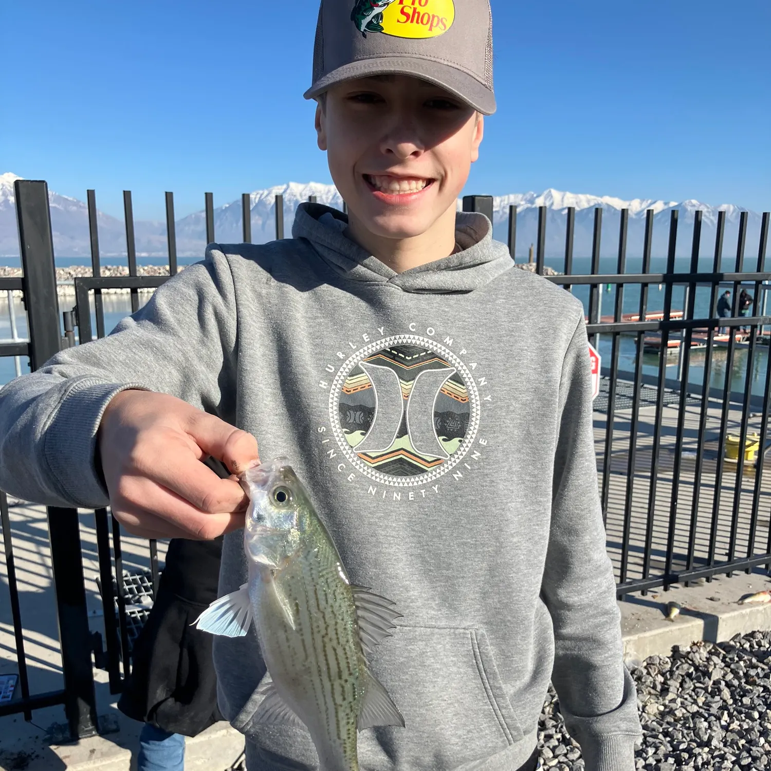 The most recent White bass catches on Fishbrain