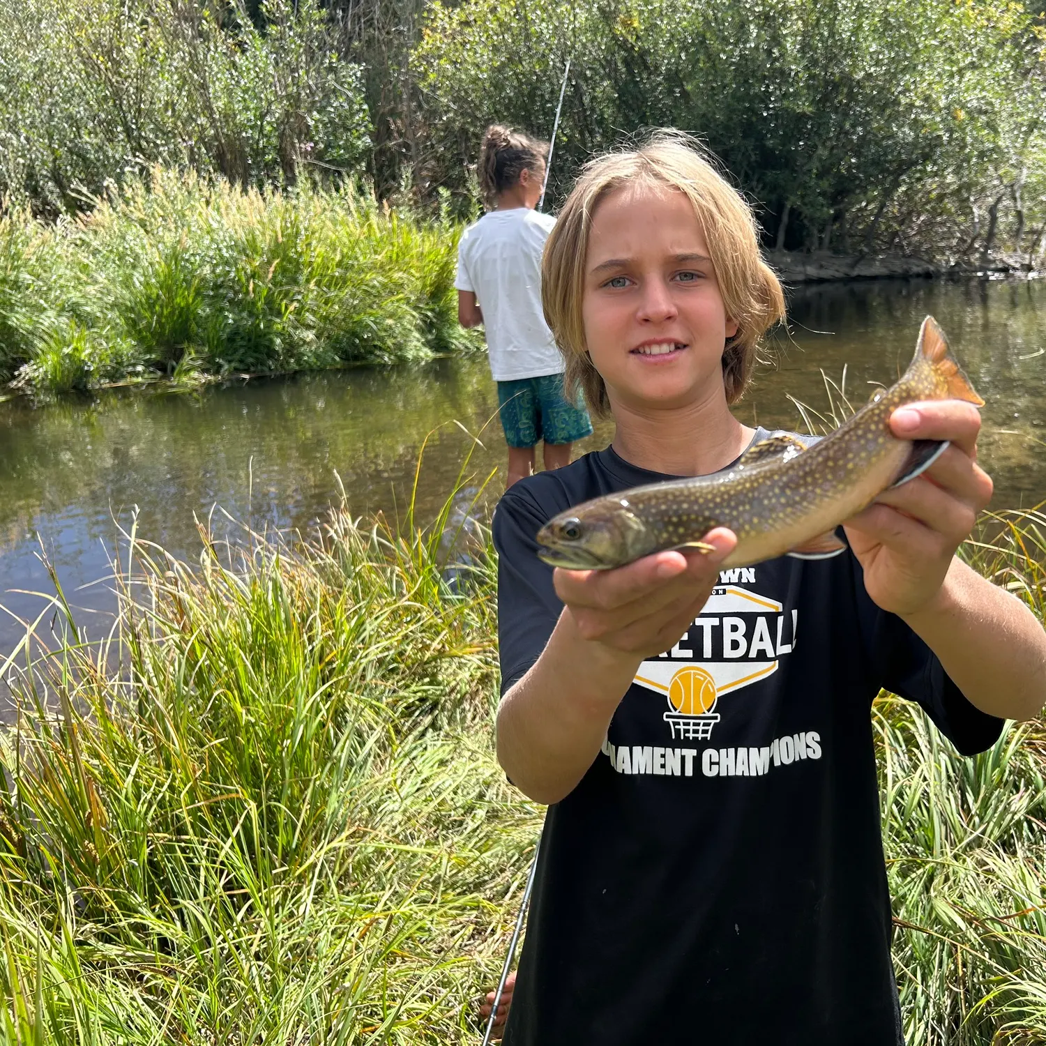 Brook trout caught on Fishbrain