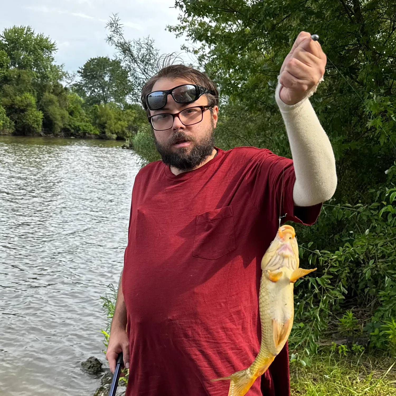 Common carp caught on Fishbrain