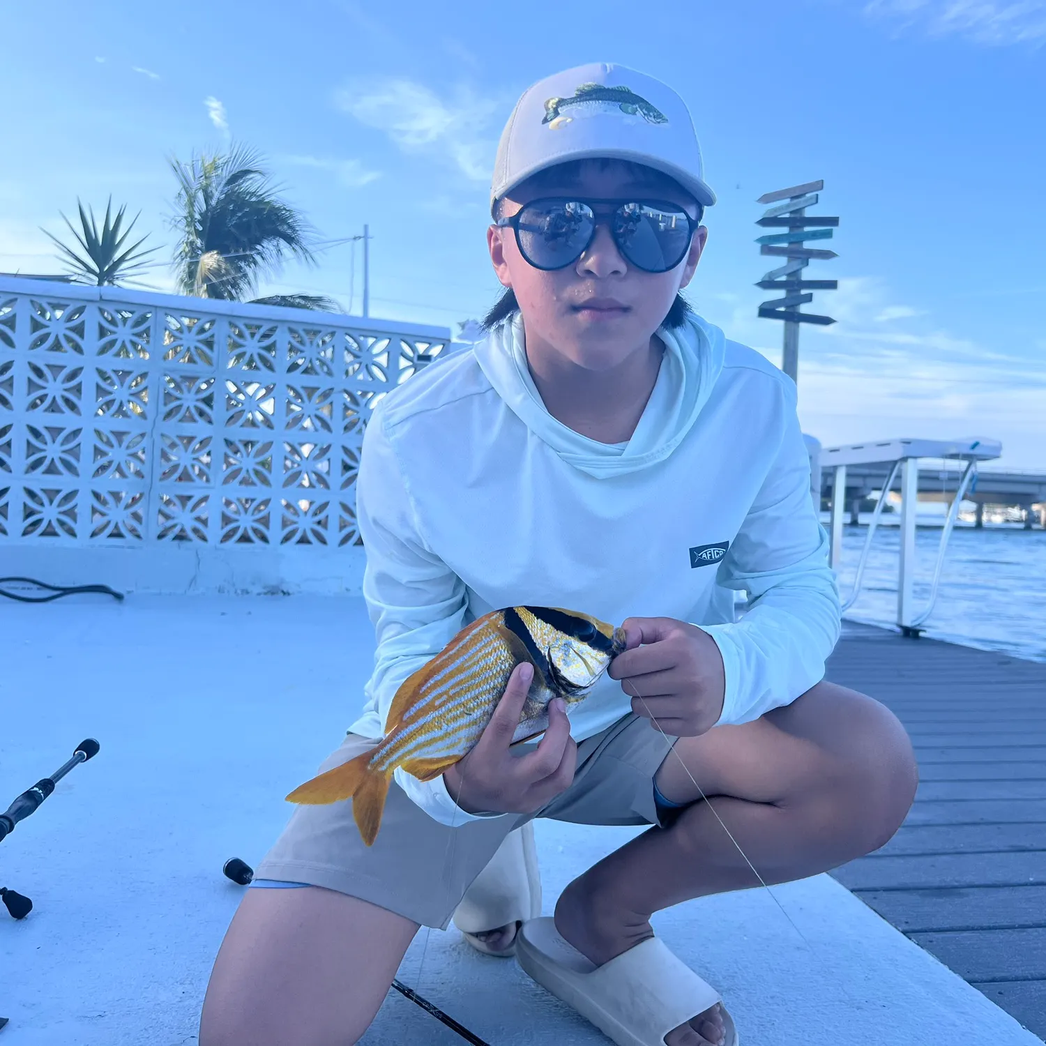 Atlantic porkfish caught on Fishbrain