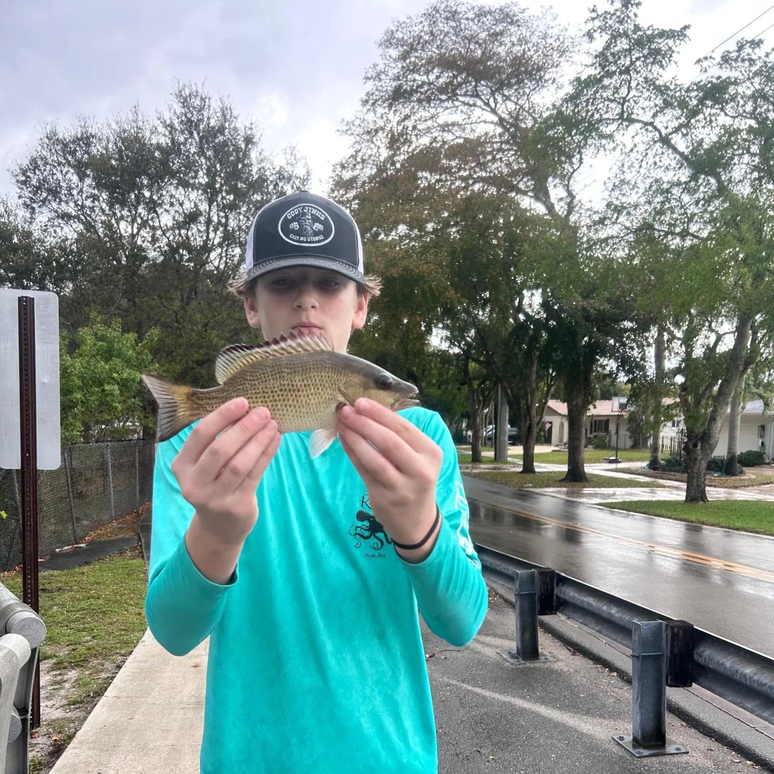 The most recent Mangrove snapper catches on Fishbrain
