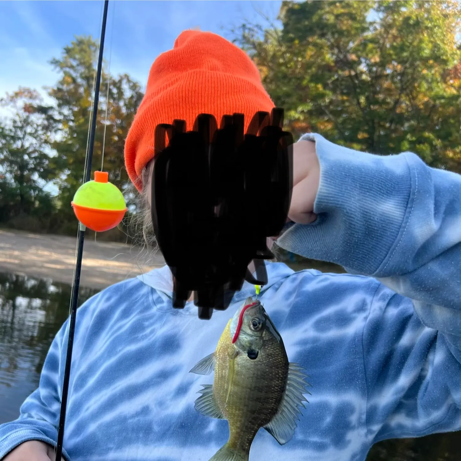 Bluegill caught on Fishbrain