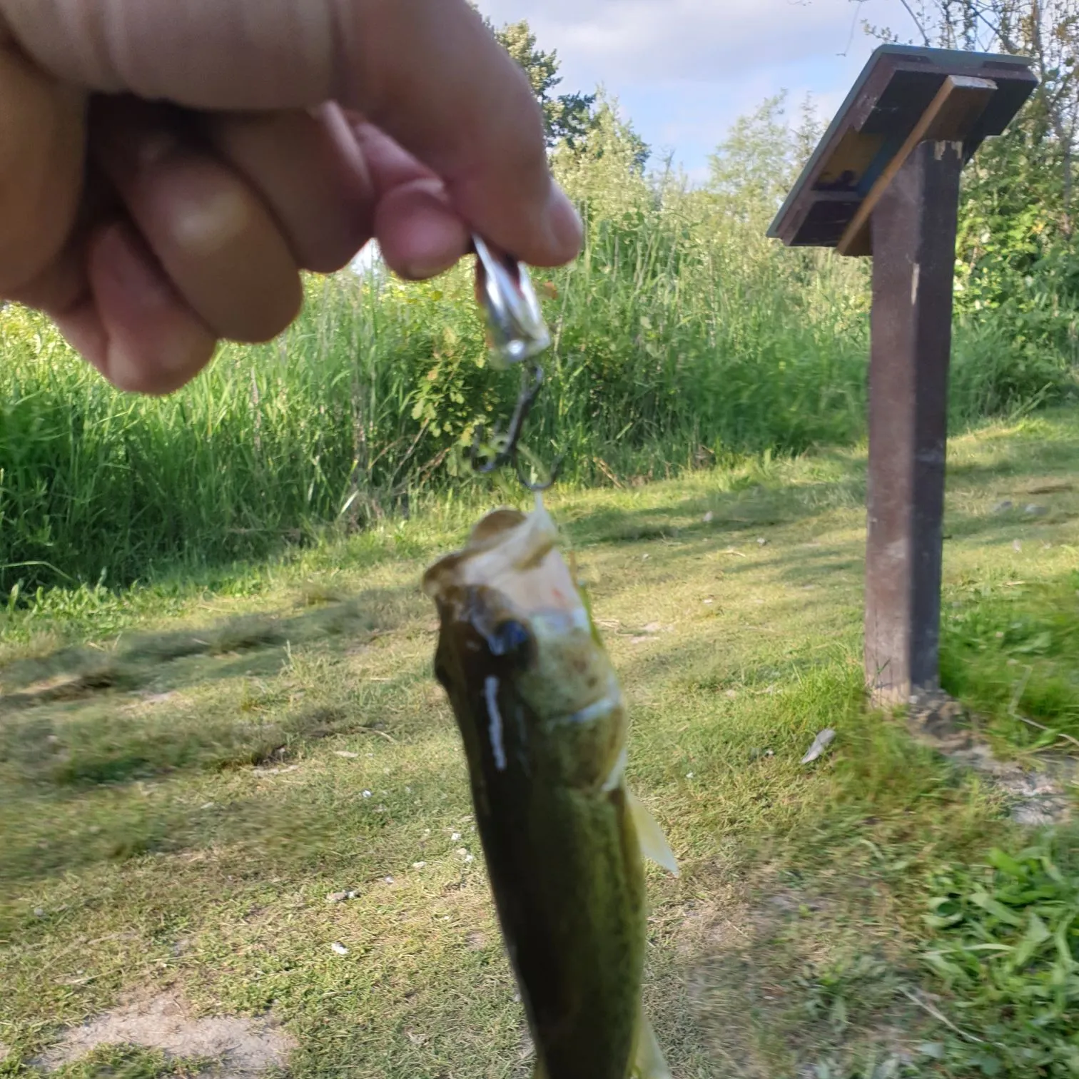 catch