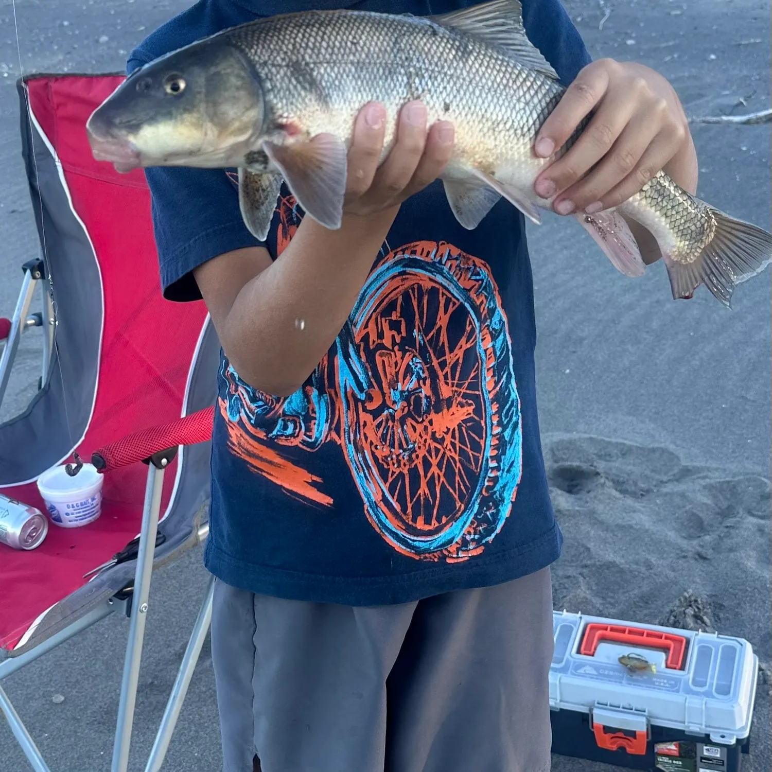 Largescale sucker caught on Fishbrain
