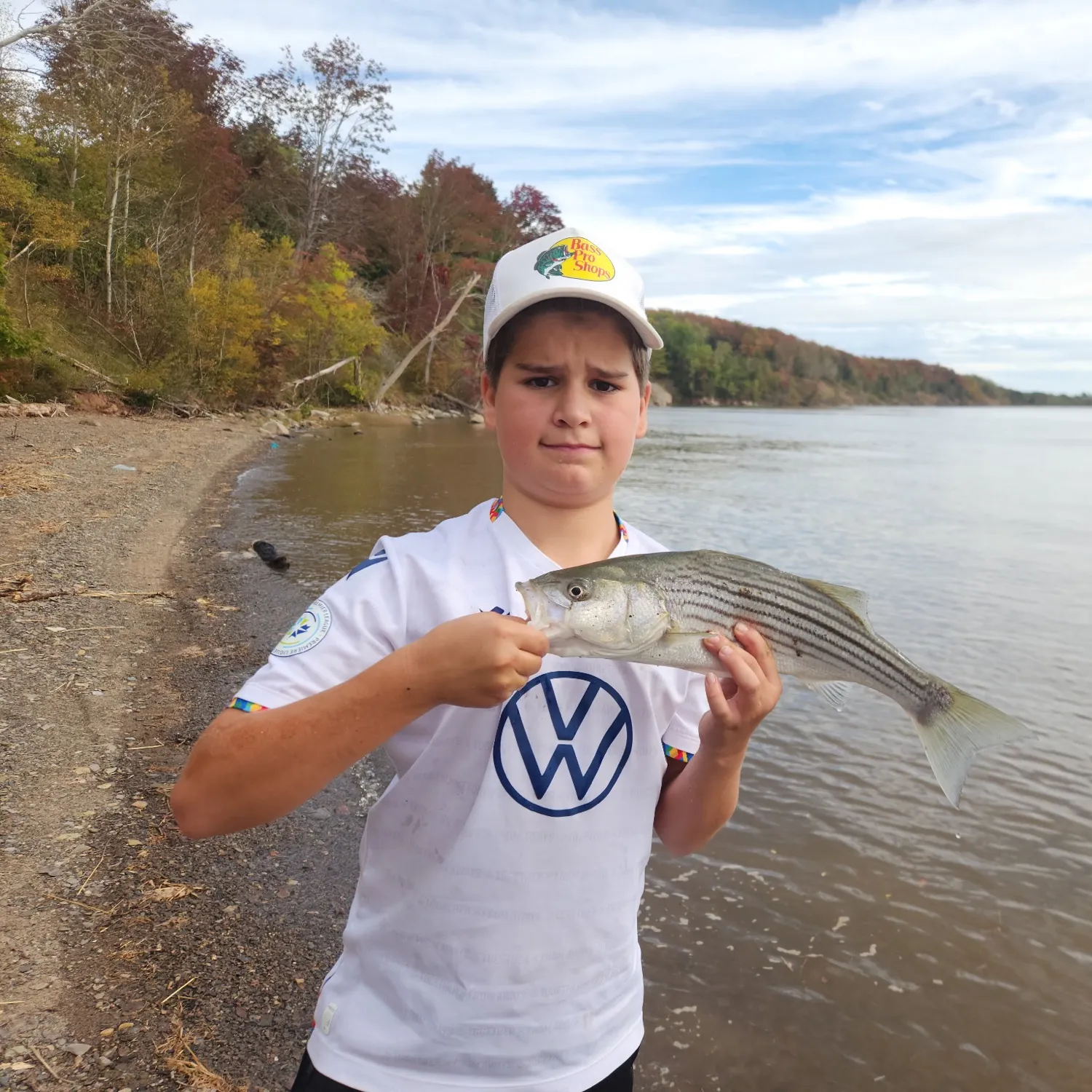 Striped bass caught on Fishbrain