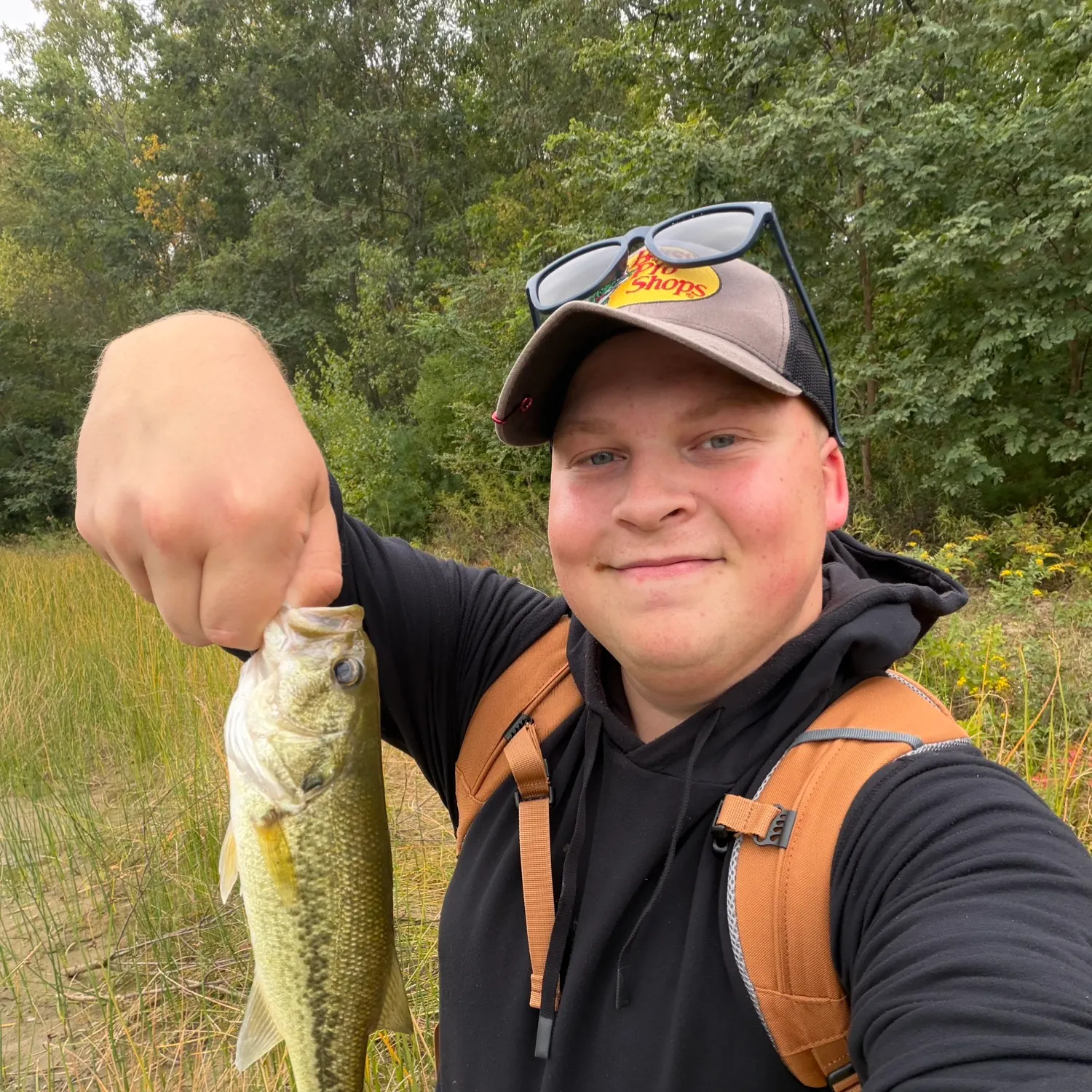 Largemouth bass caught on Fishbrain