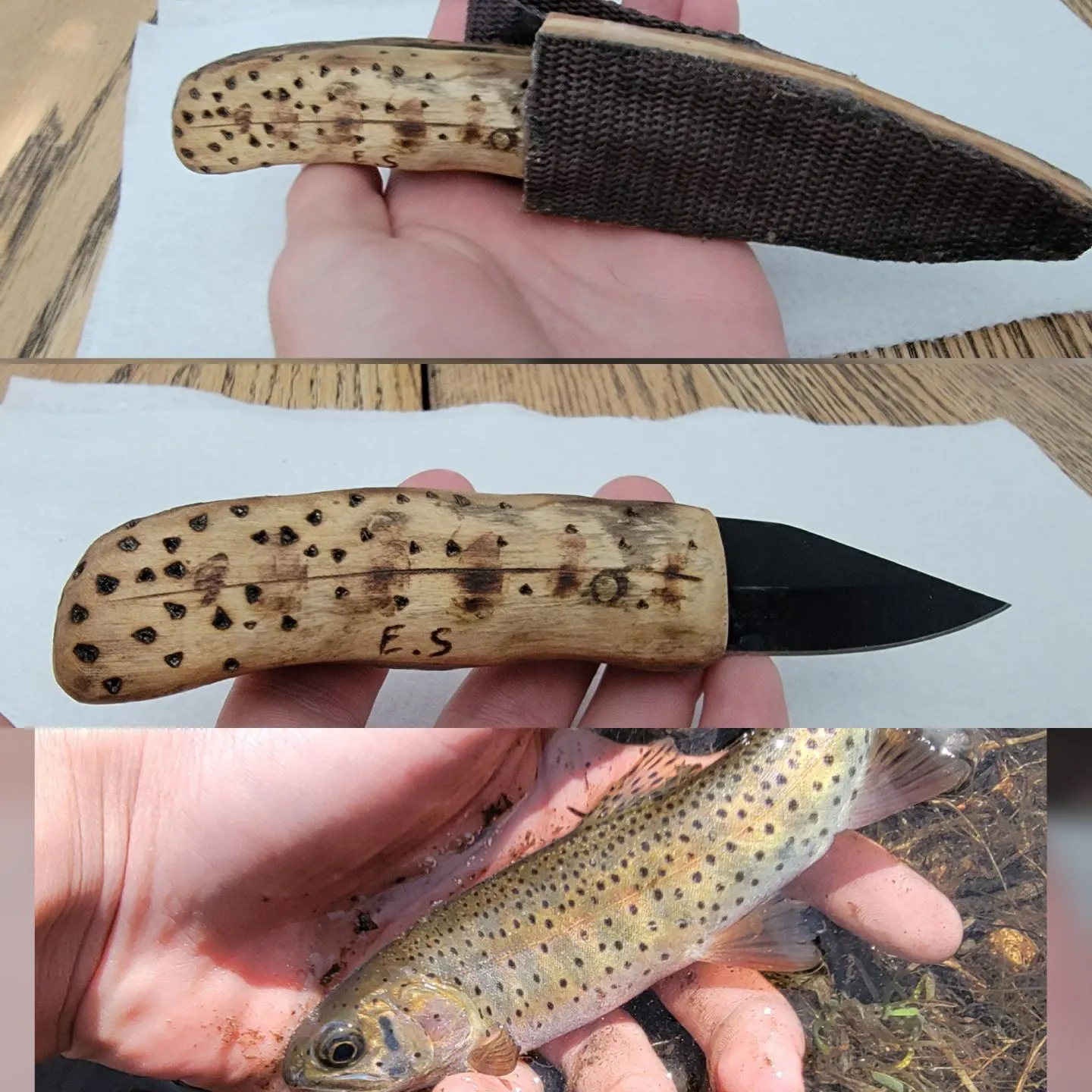 The most recent Greenback cutthroat trout catches on Fishbrain