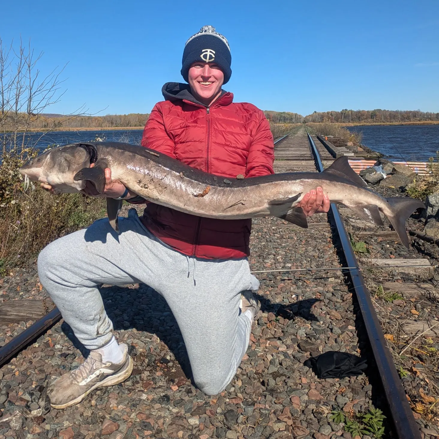 Lake sturgeon caught on Fishbrain