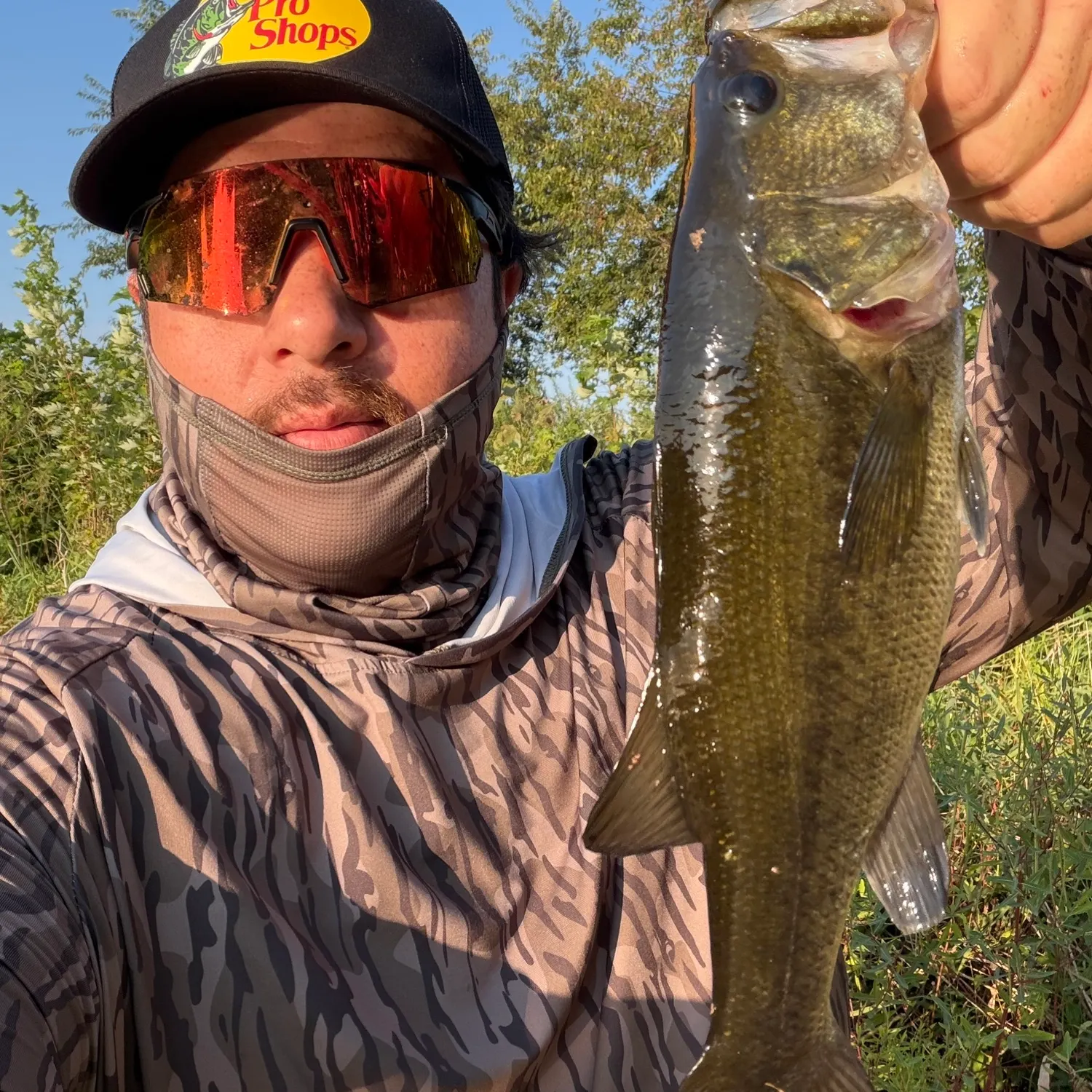 Largemouth bass caught on Fishbrain