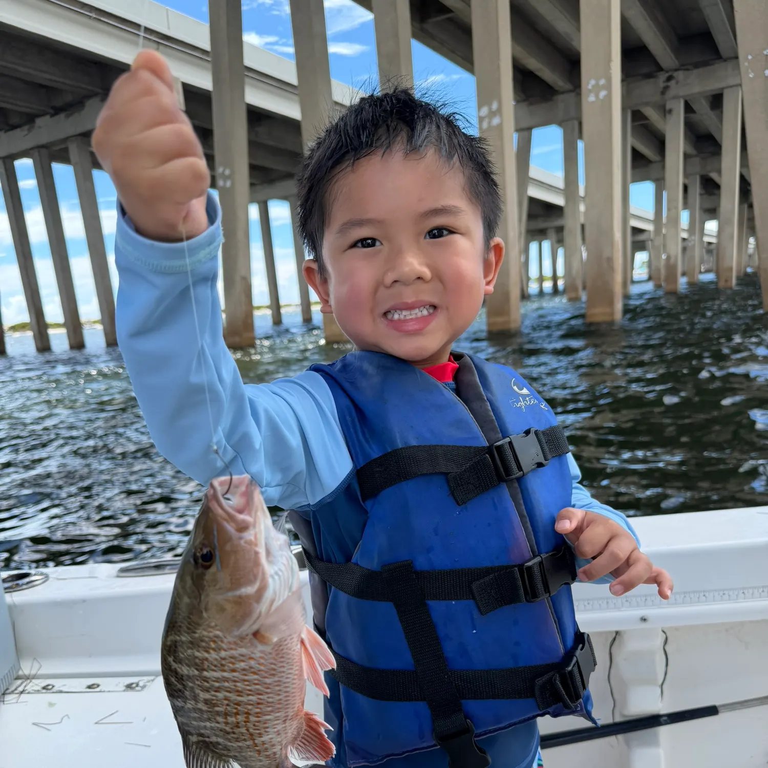 Mangrove snapper caught on Fishbrain