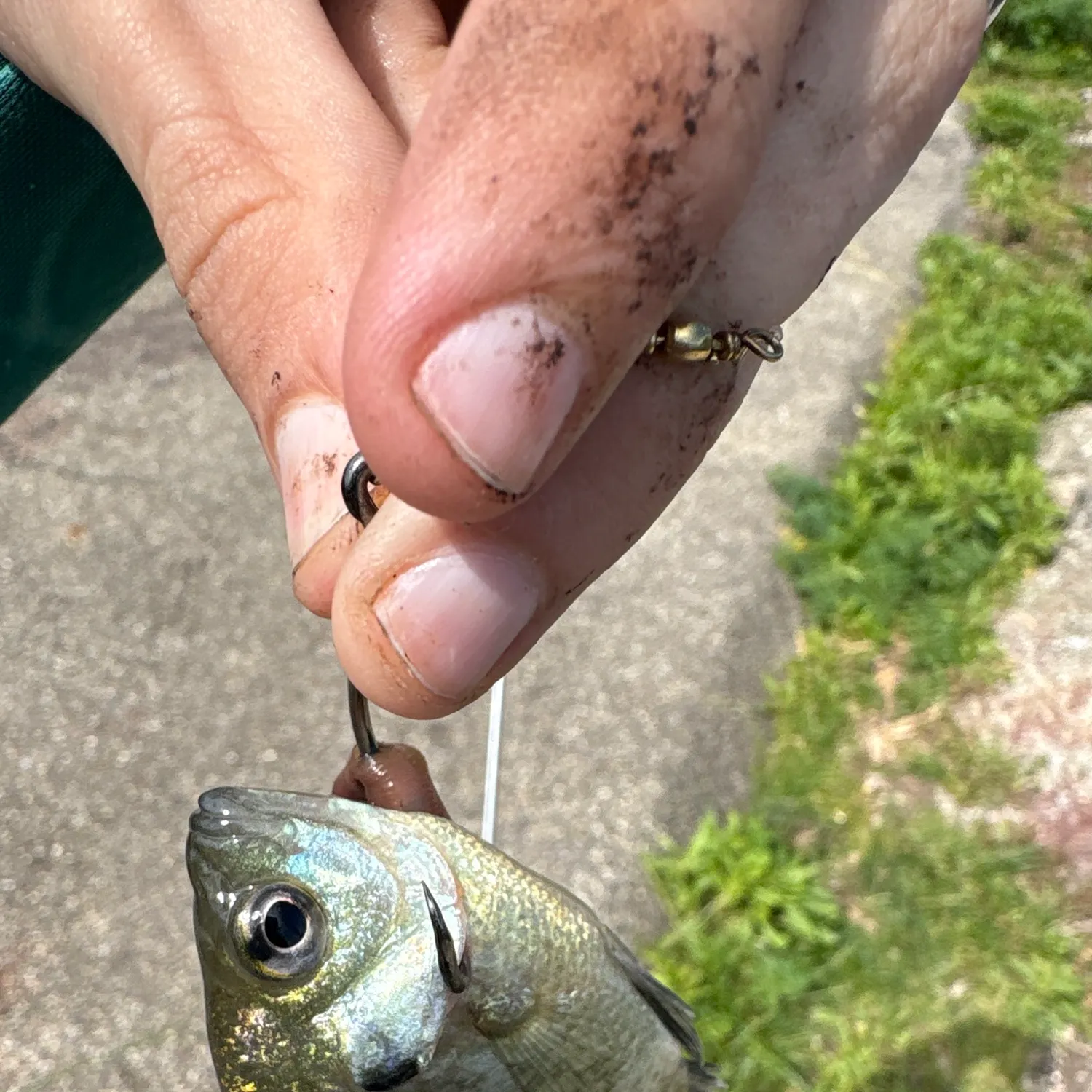 catch