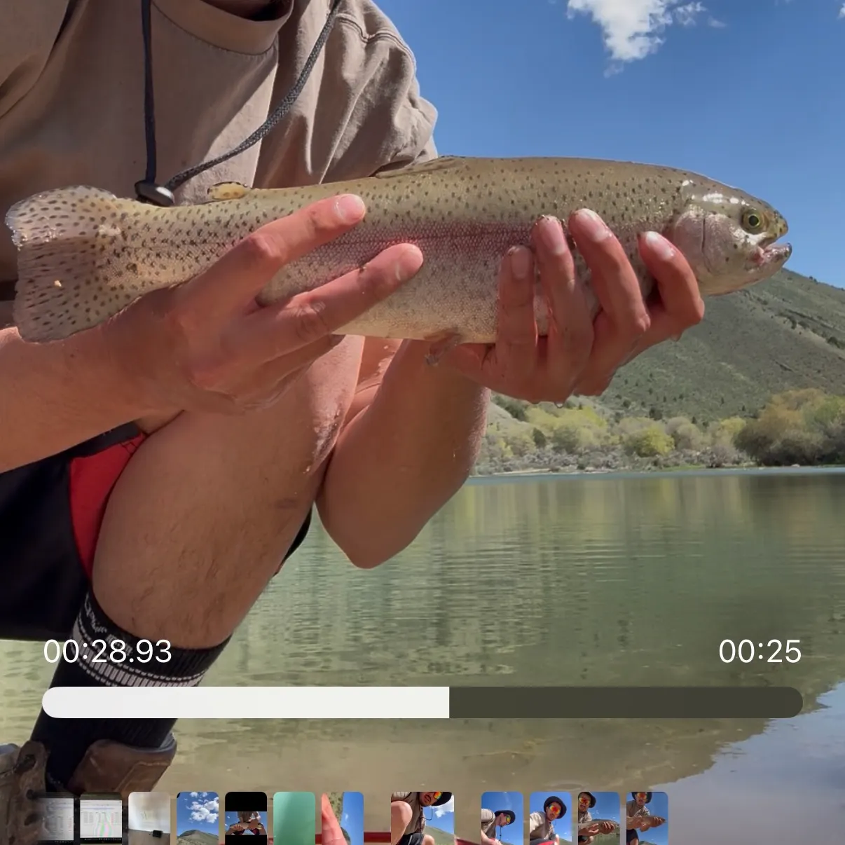 recently logged catches