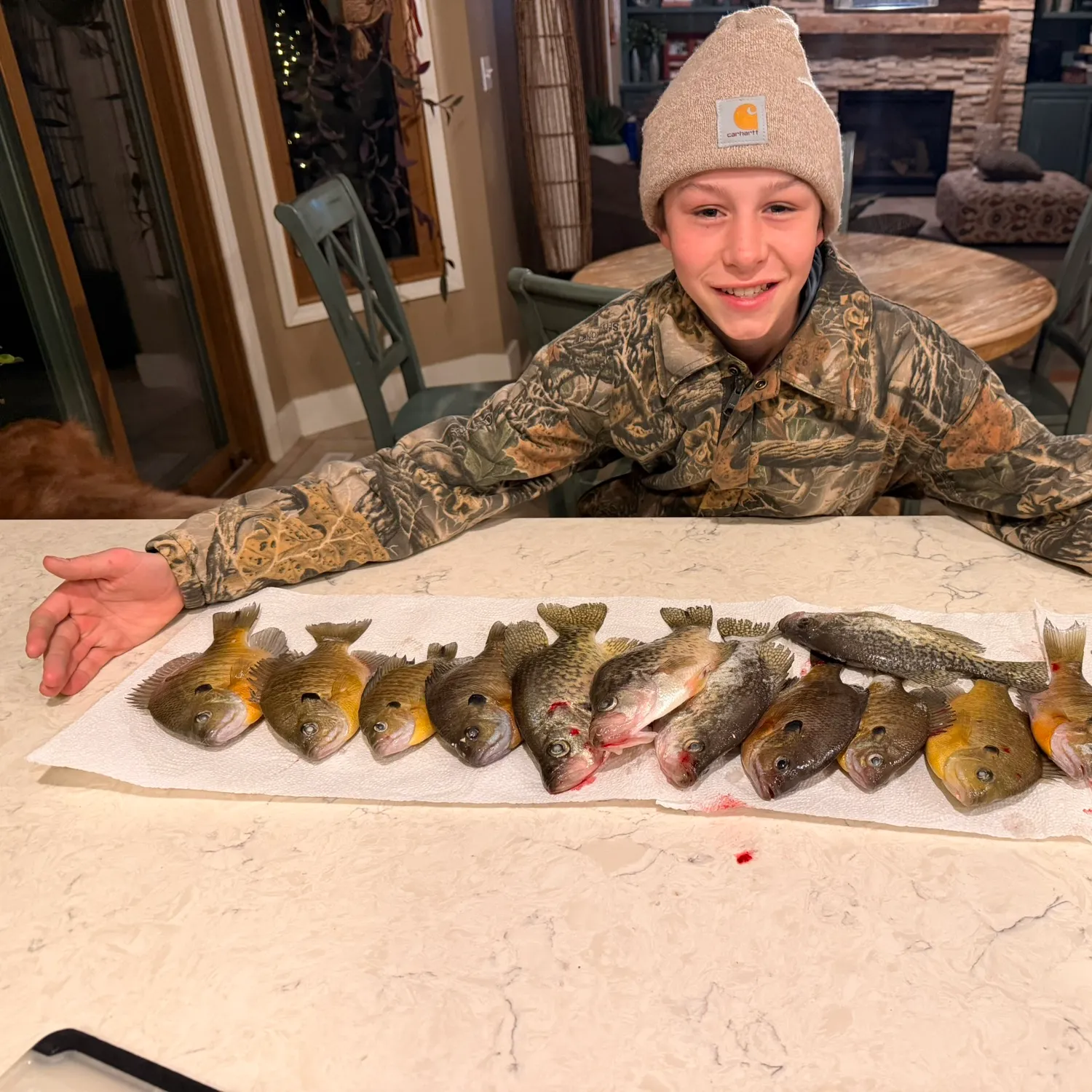 recently logged catches