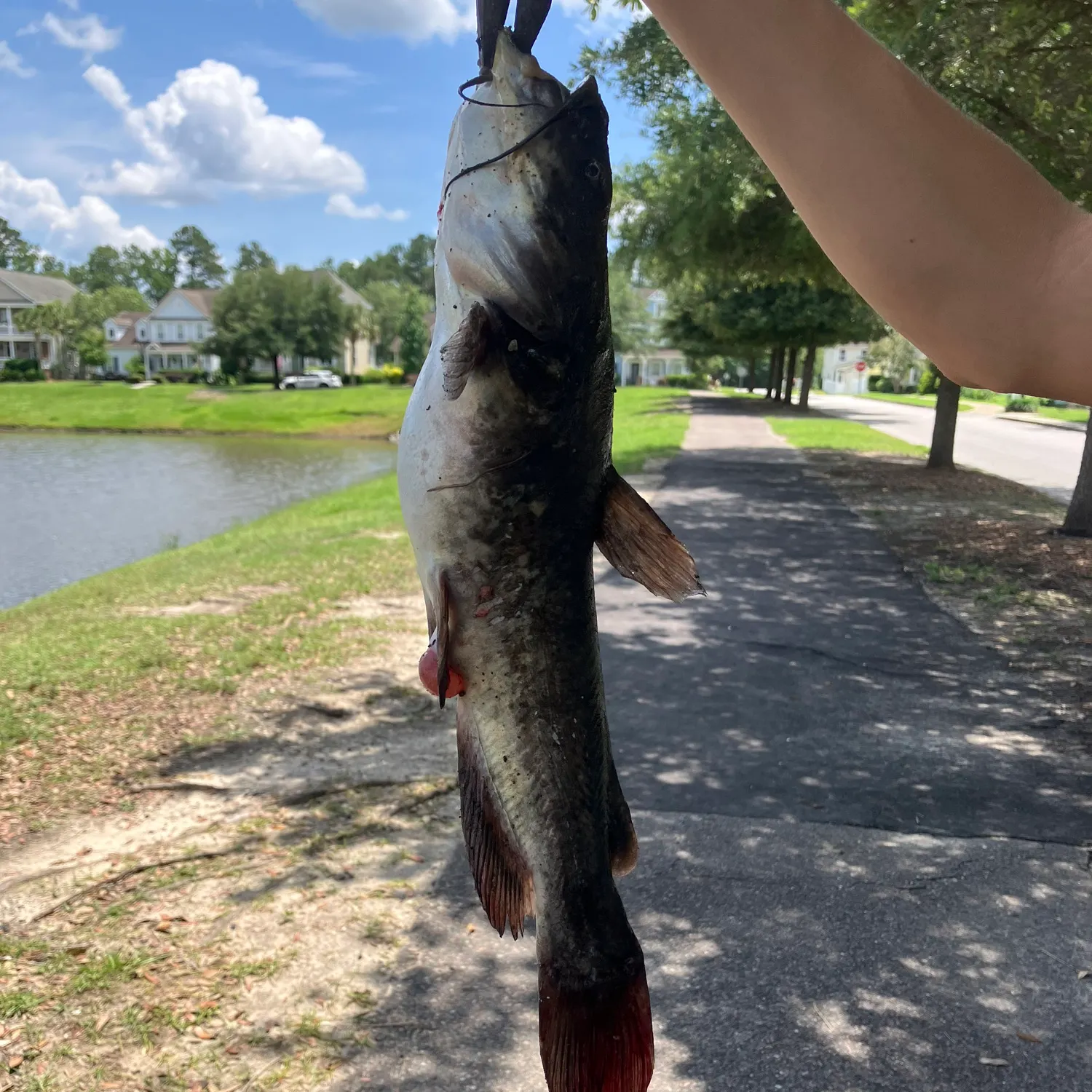 catch