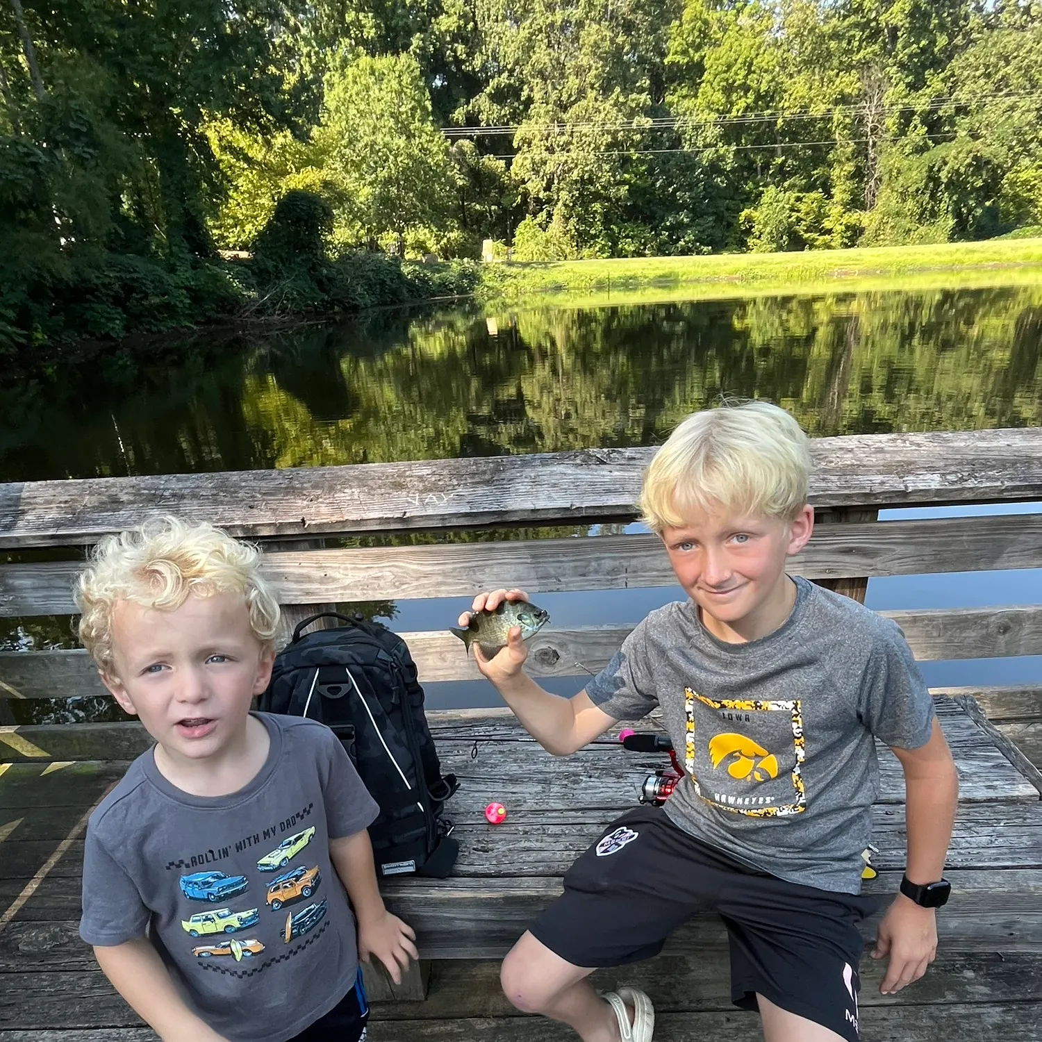 Bluegill caught on Fishbrain