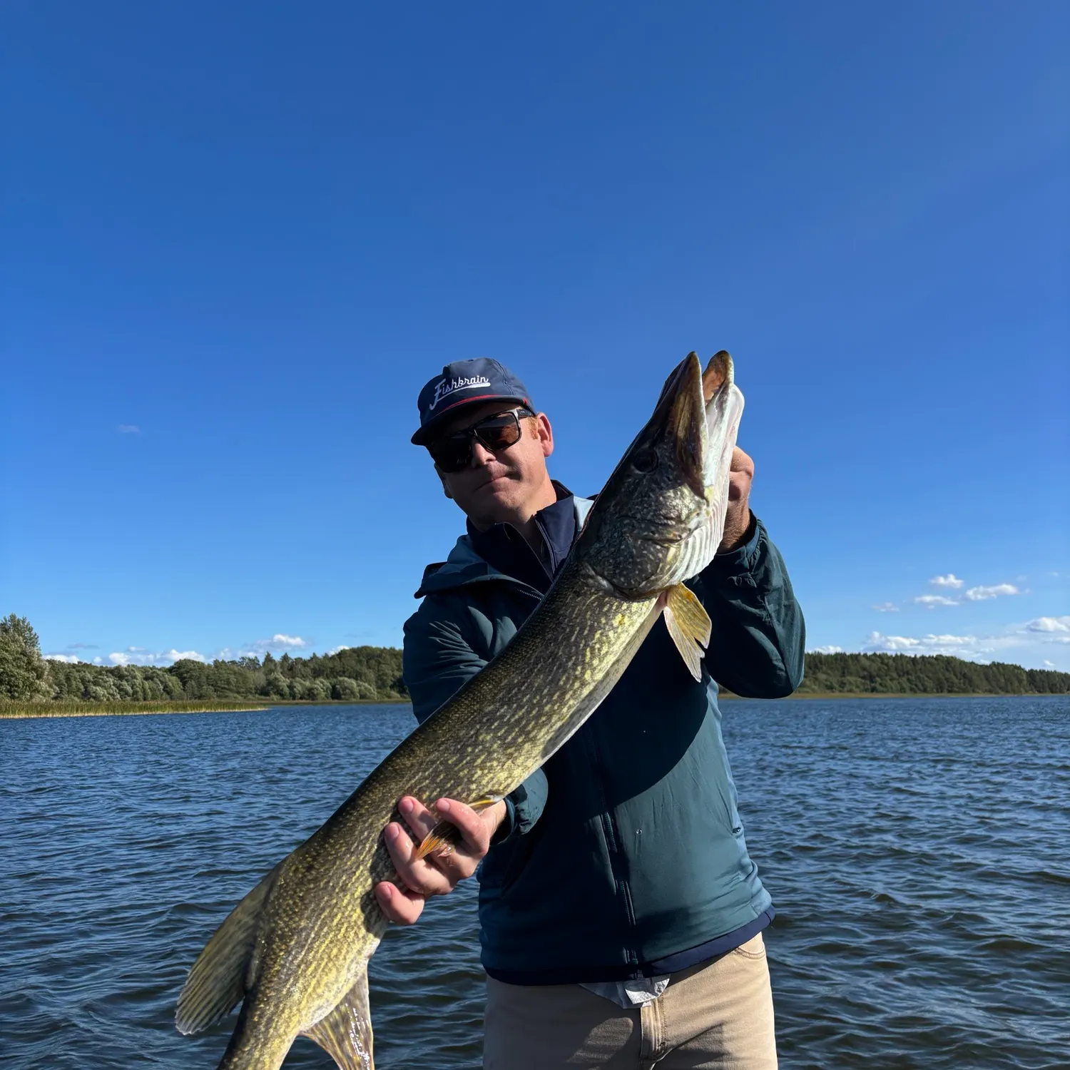 Northern pike caught on Fishbrain