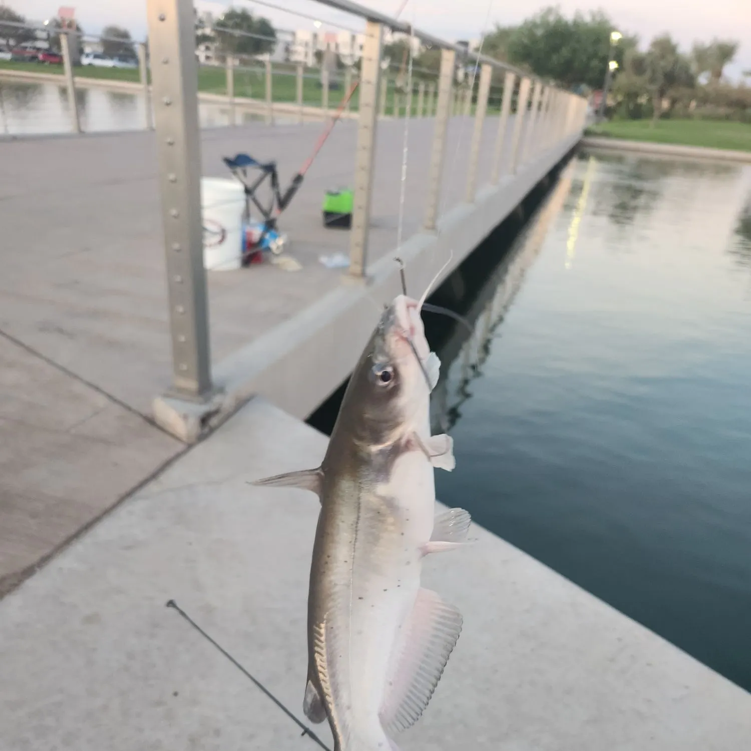 catch